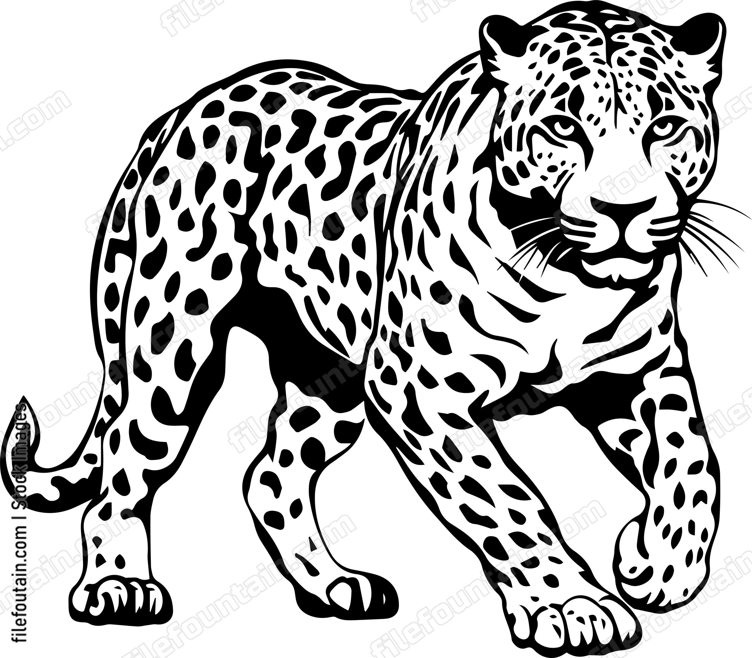 Jaguar