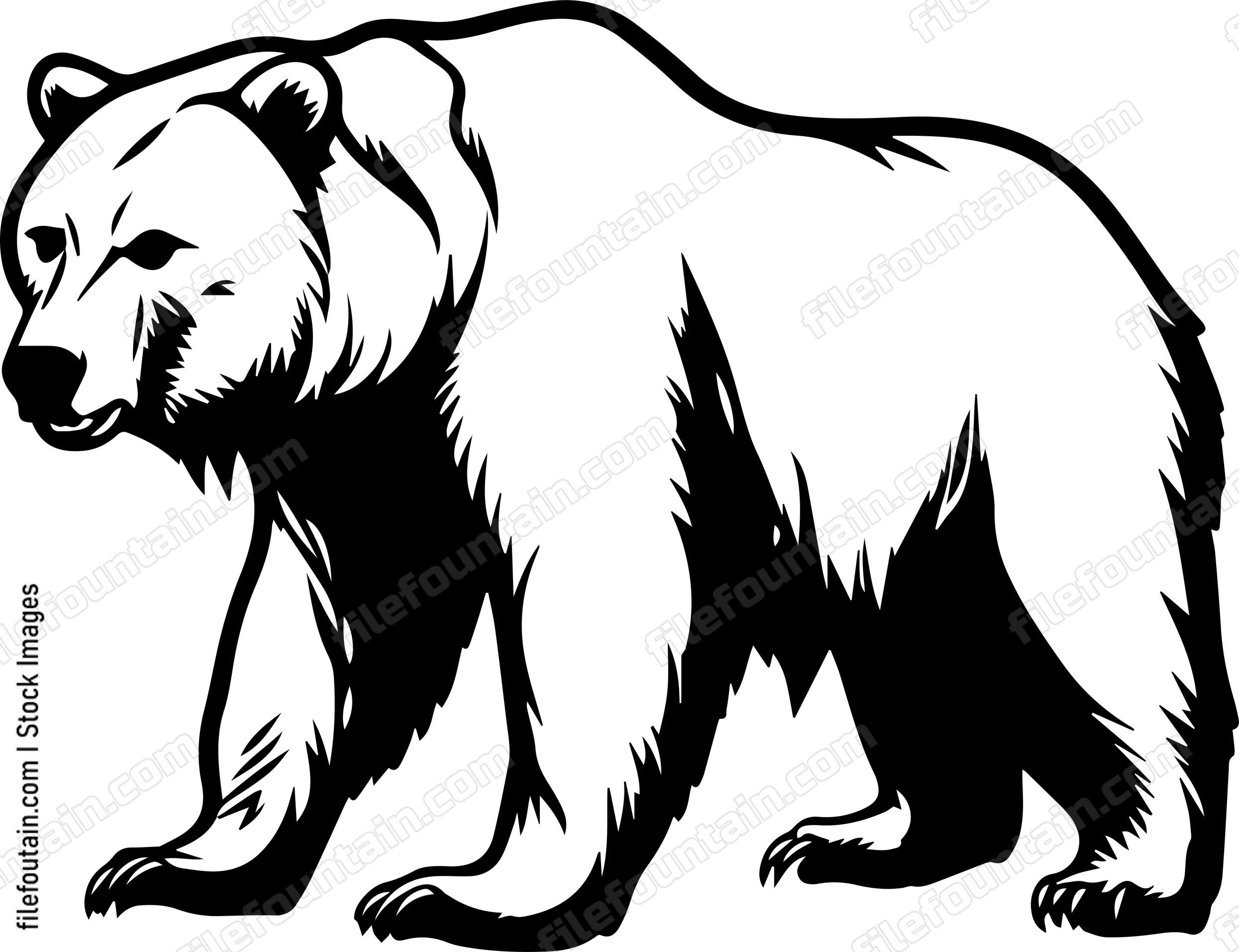 Kodiak Bear