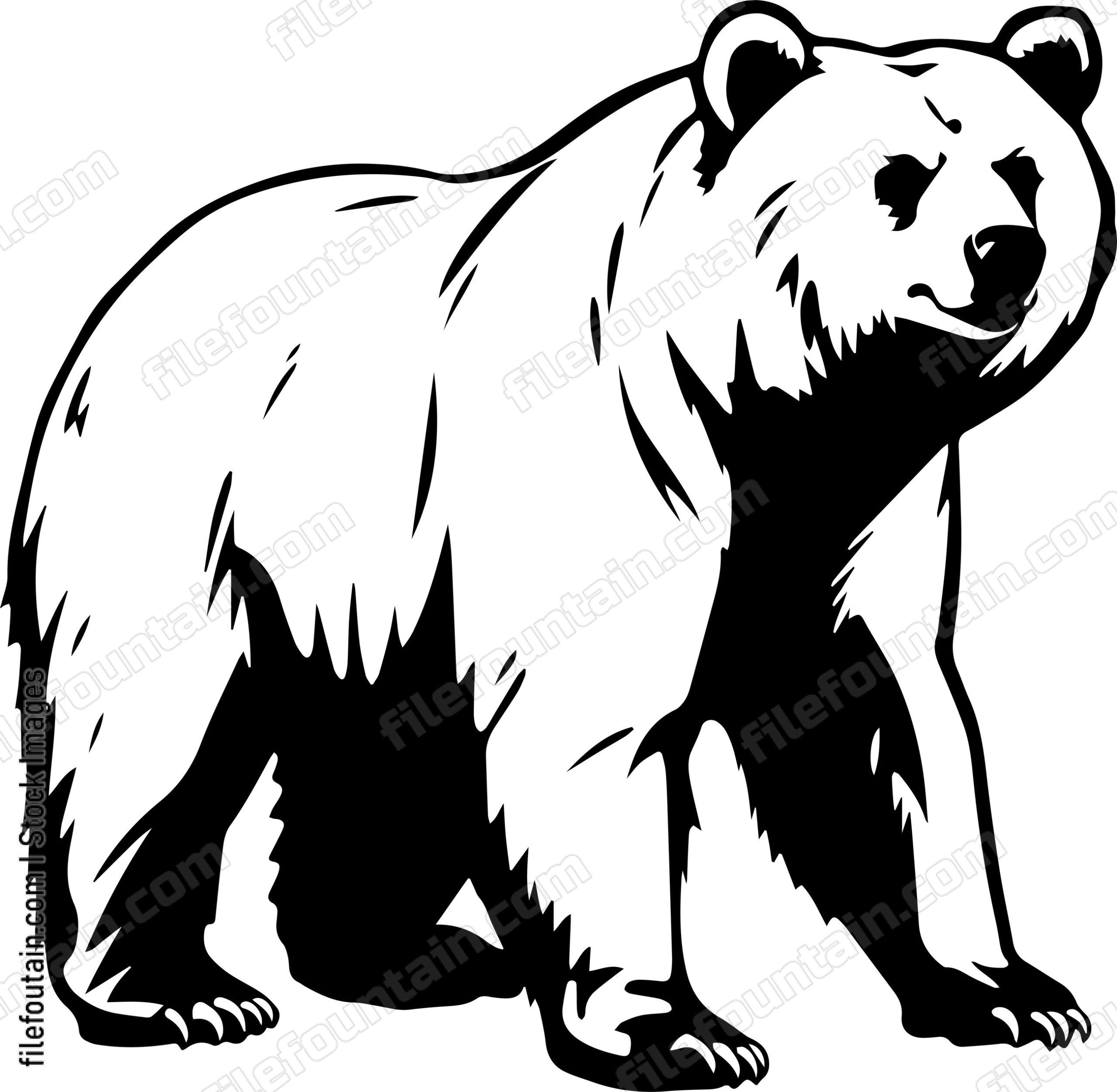 Kodiak Bear
