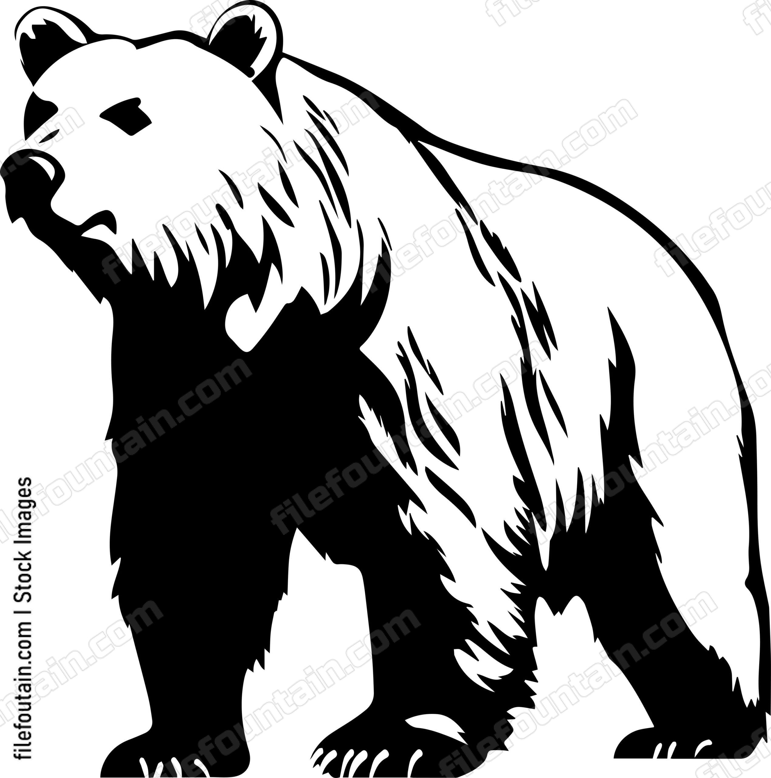 Kodiak Bear