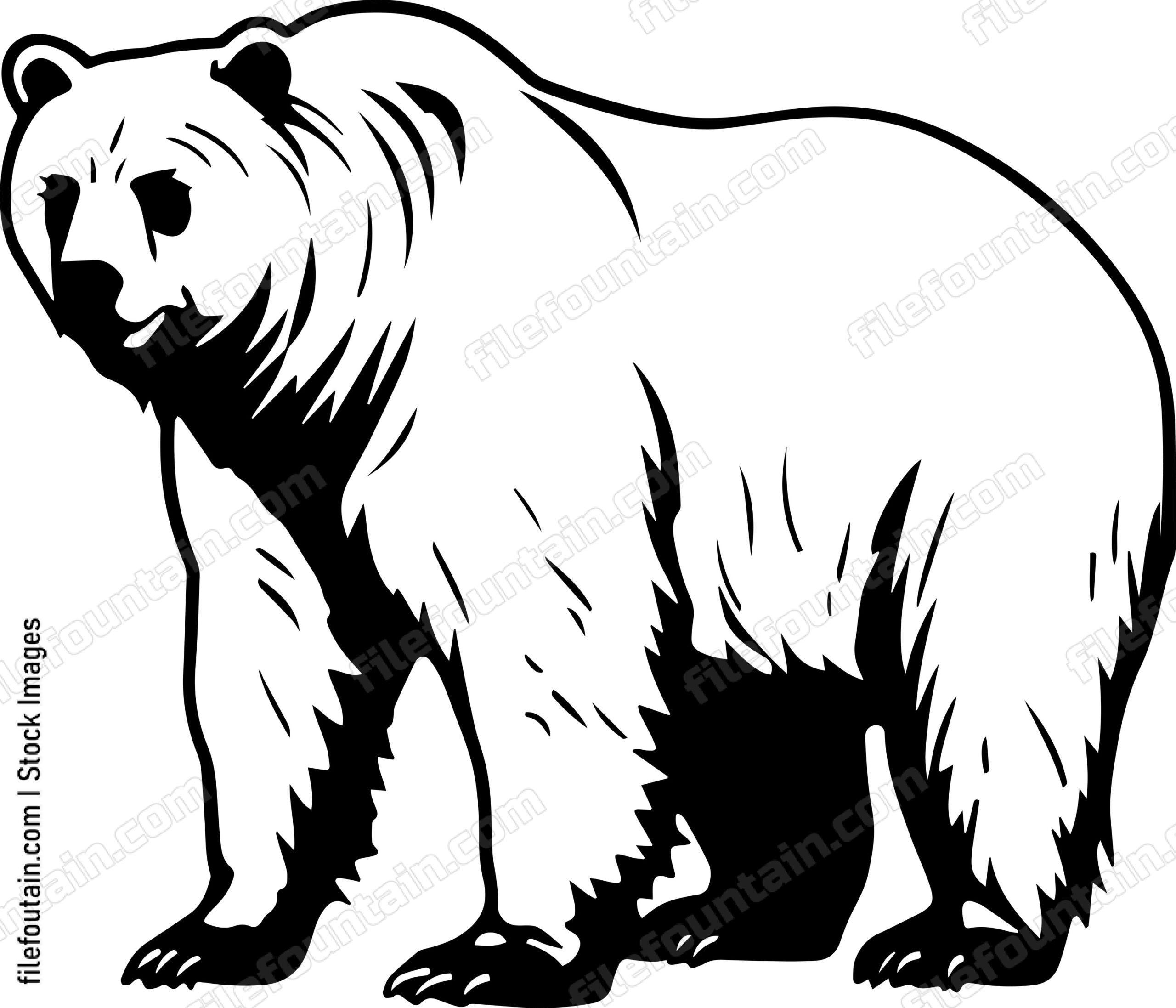 Kodiak Bear