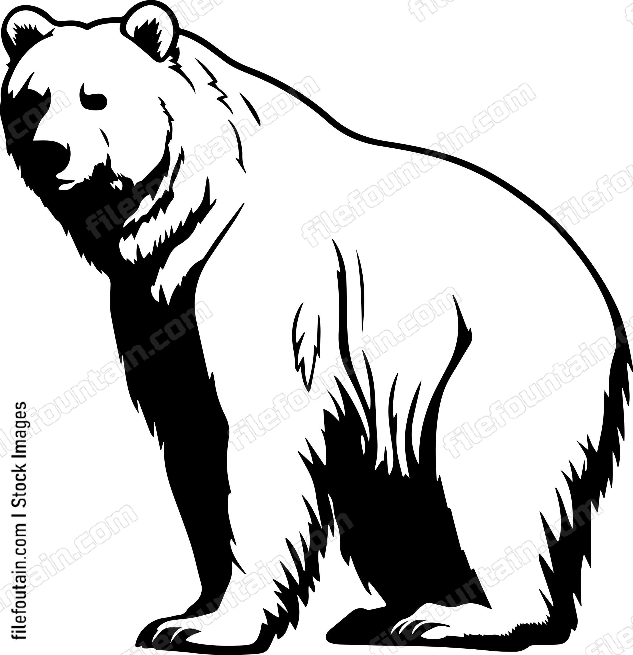 Kodiak Bear
