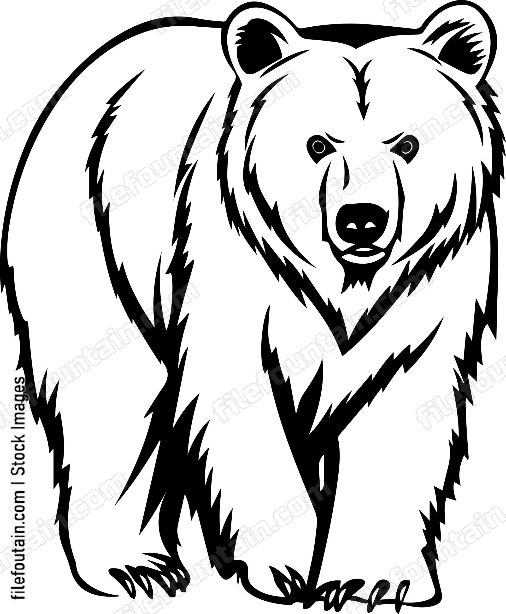 Kodiak Bear