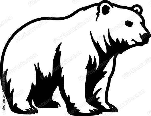 Kodiak Bear