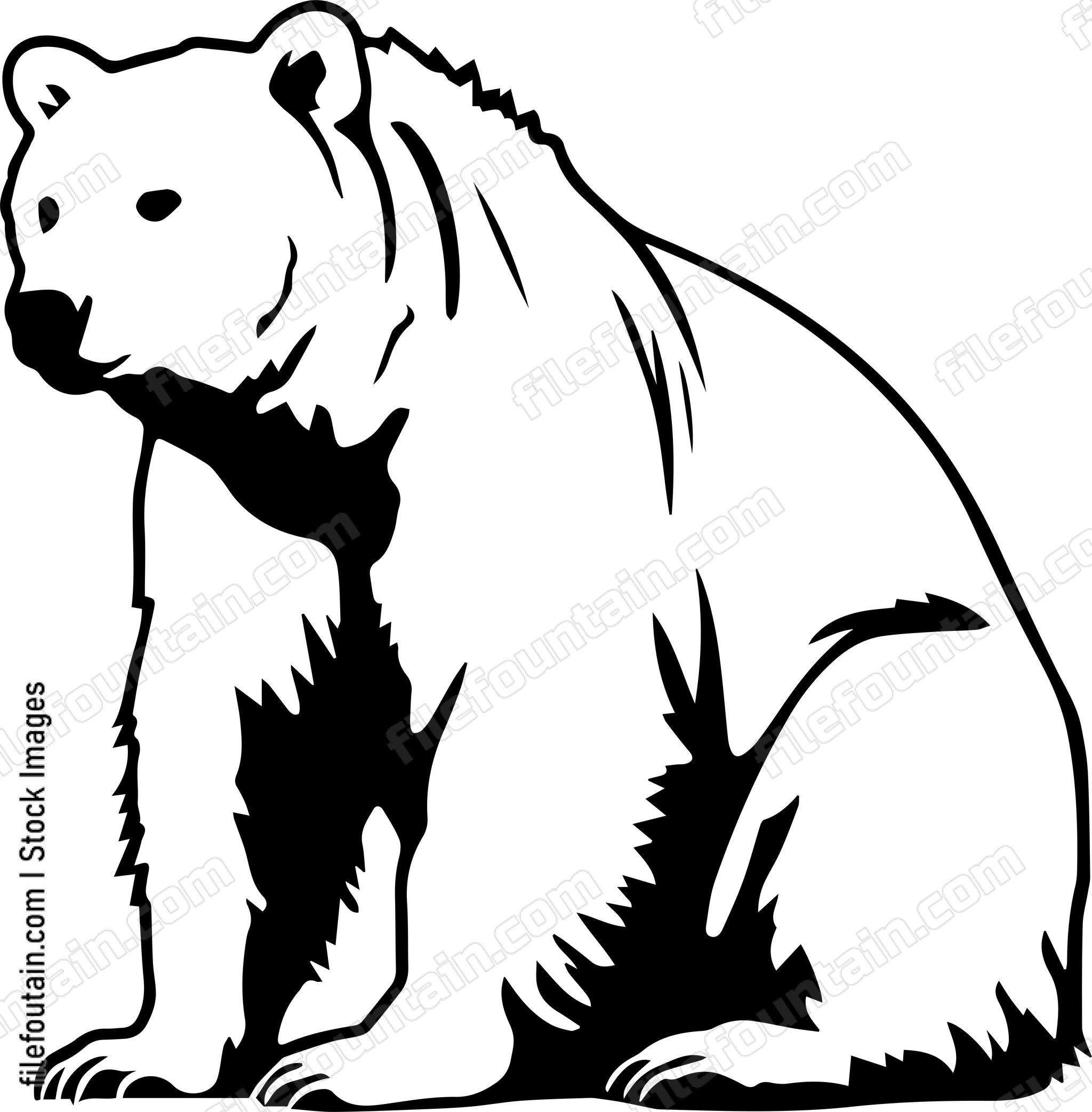 Kodiak Bear