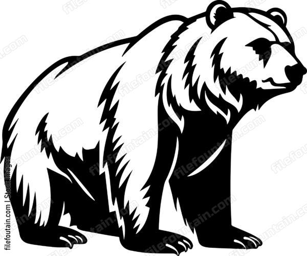 Kodiak Bear