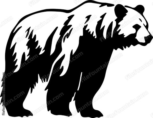 Kodiak Bear