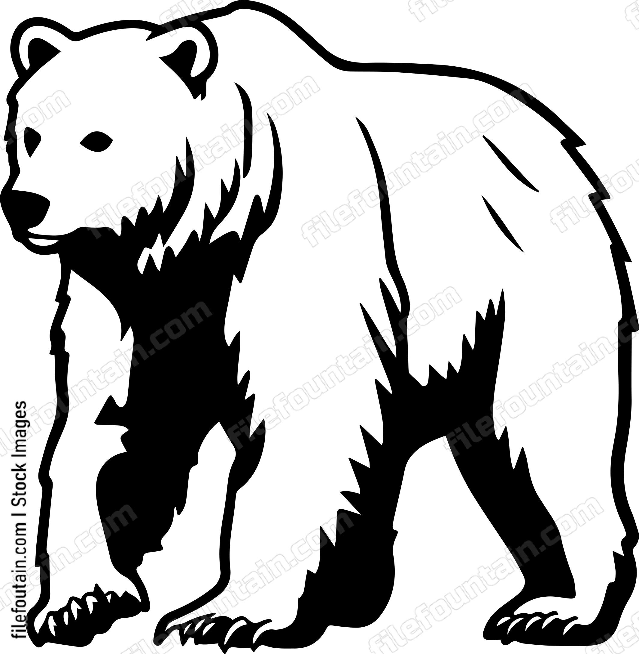 Kodiak Bear