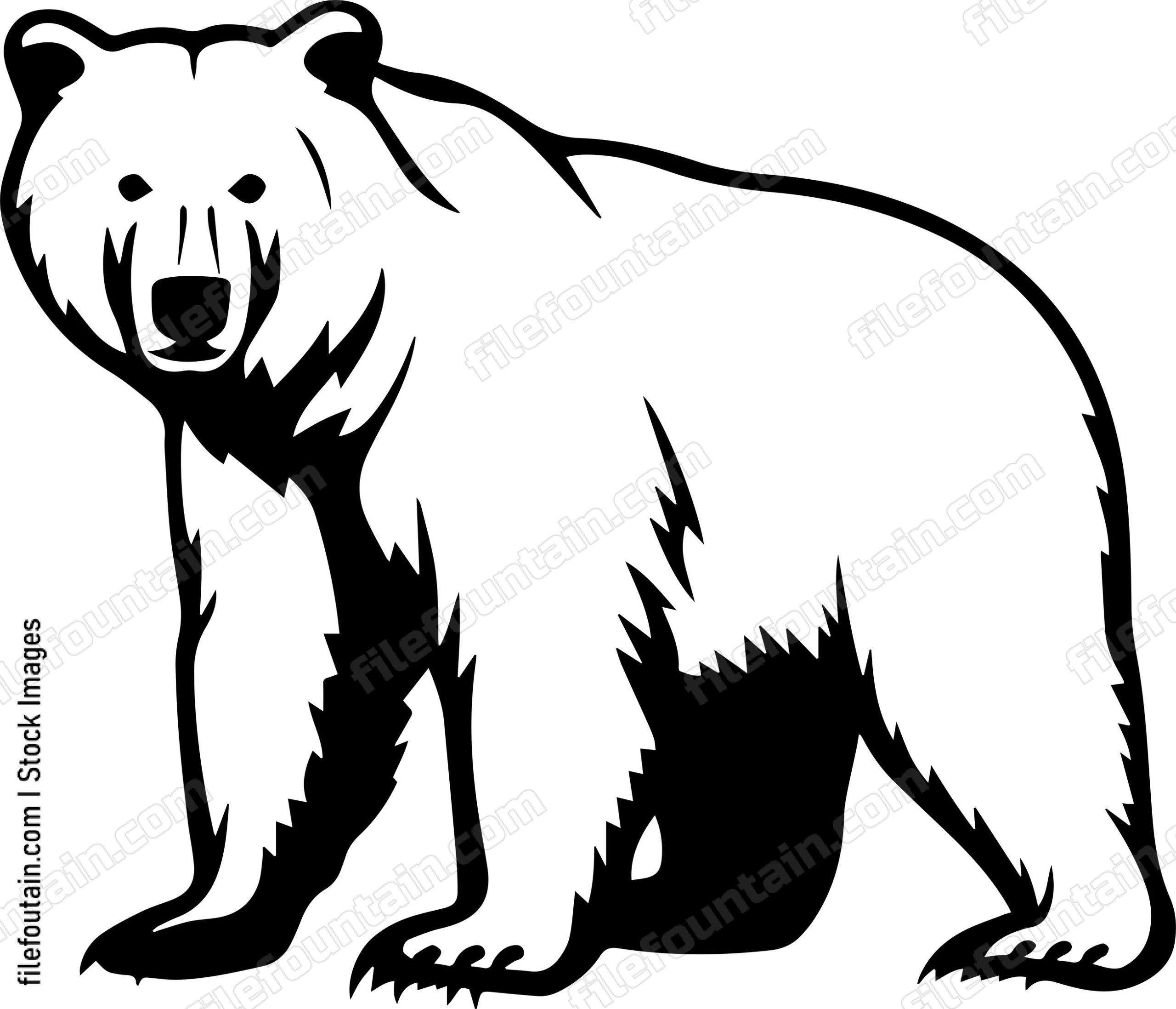 Kodiak Bear