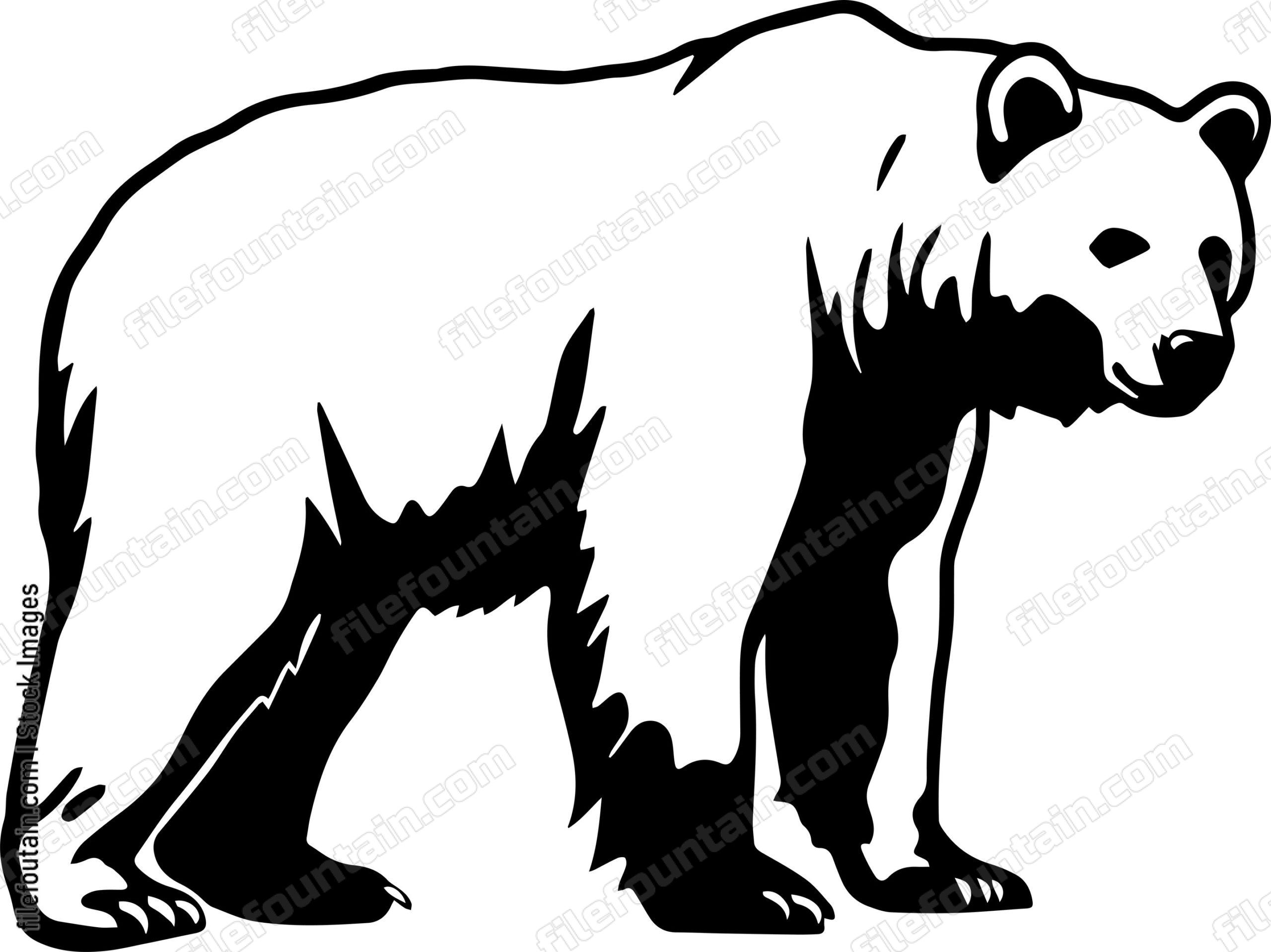 Kodiak Bear