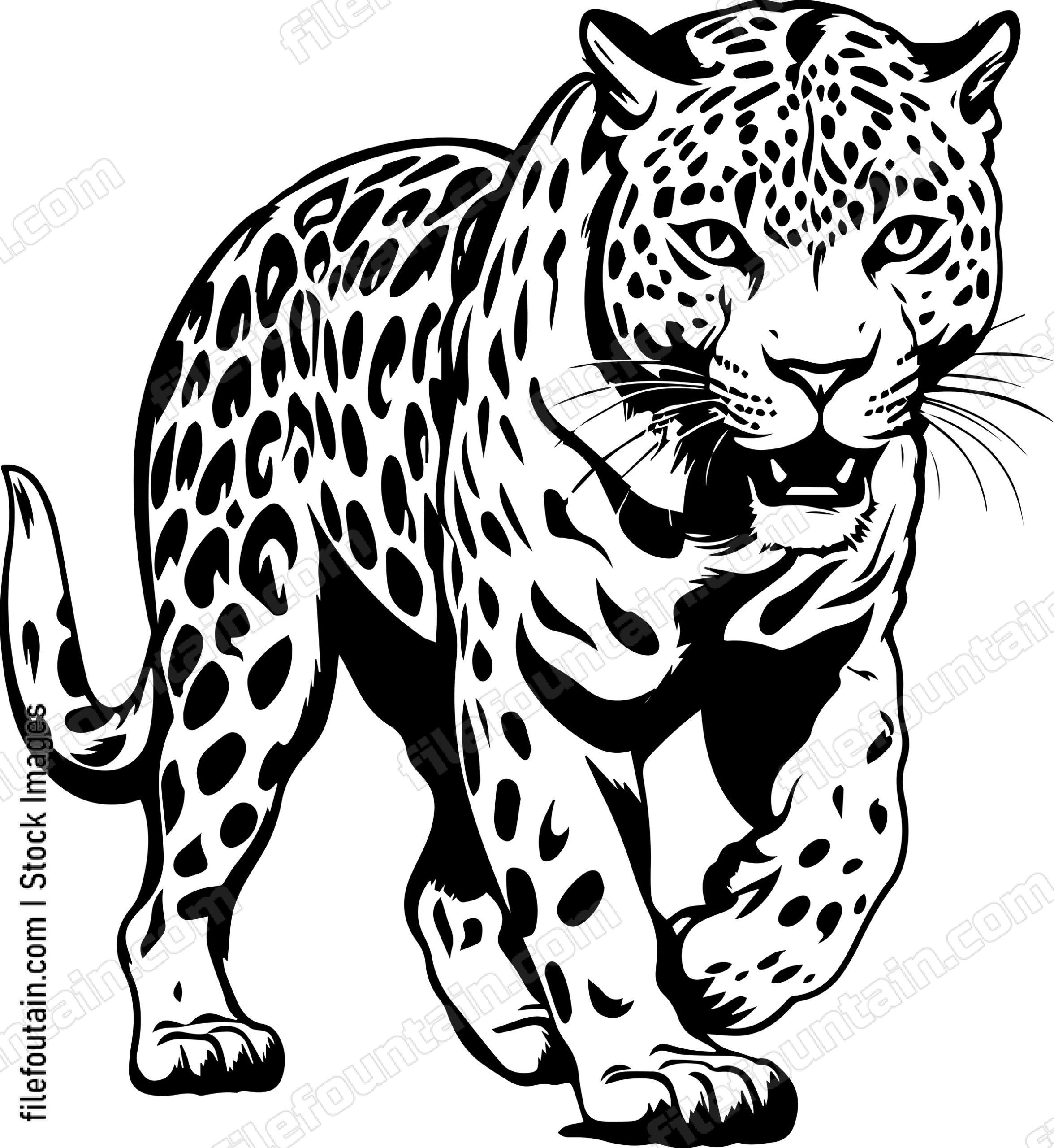 Leopard
