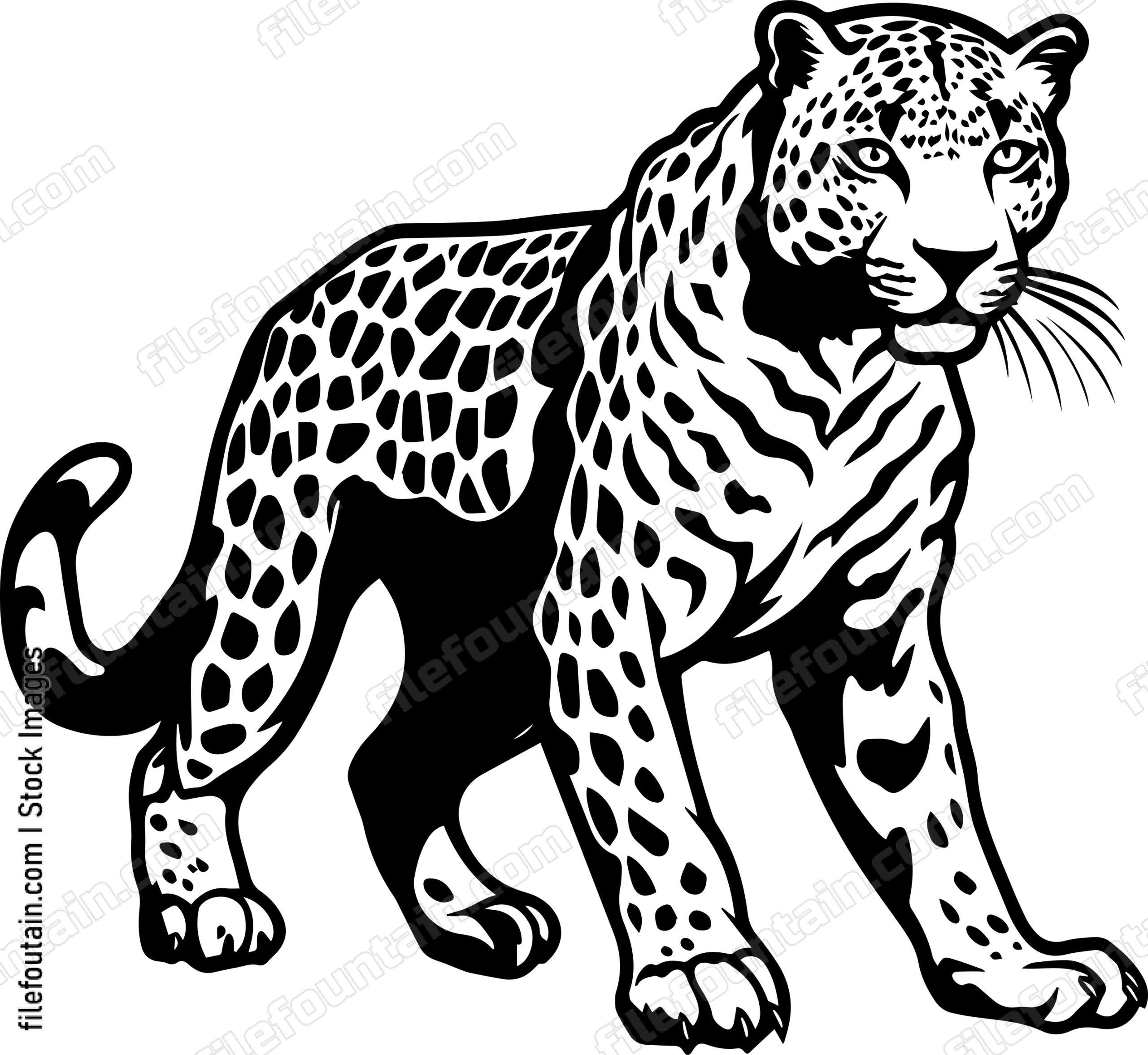 Leopard