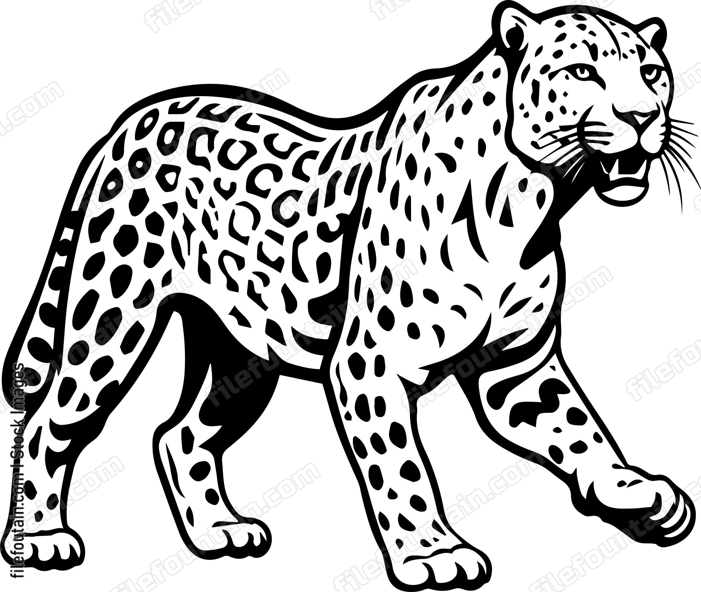 Leopard