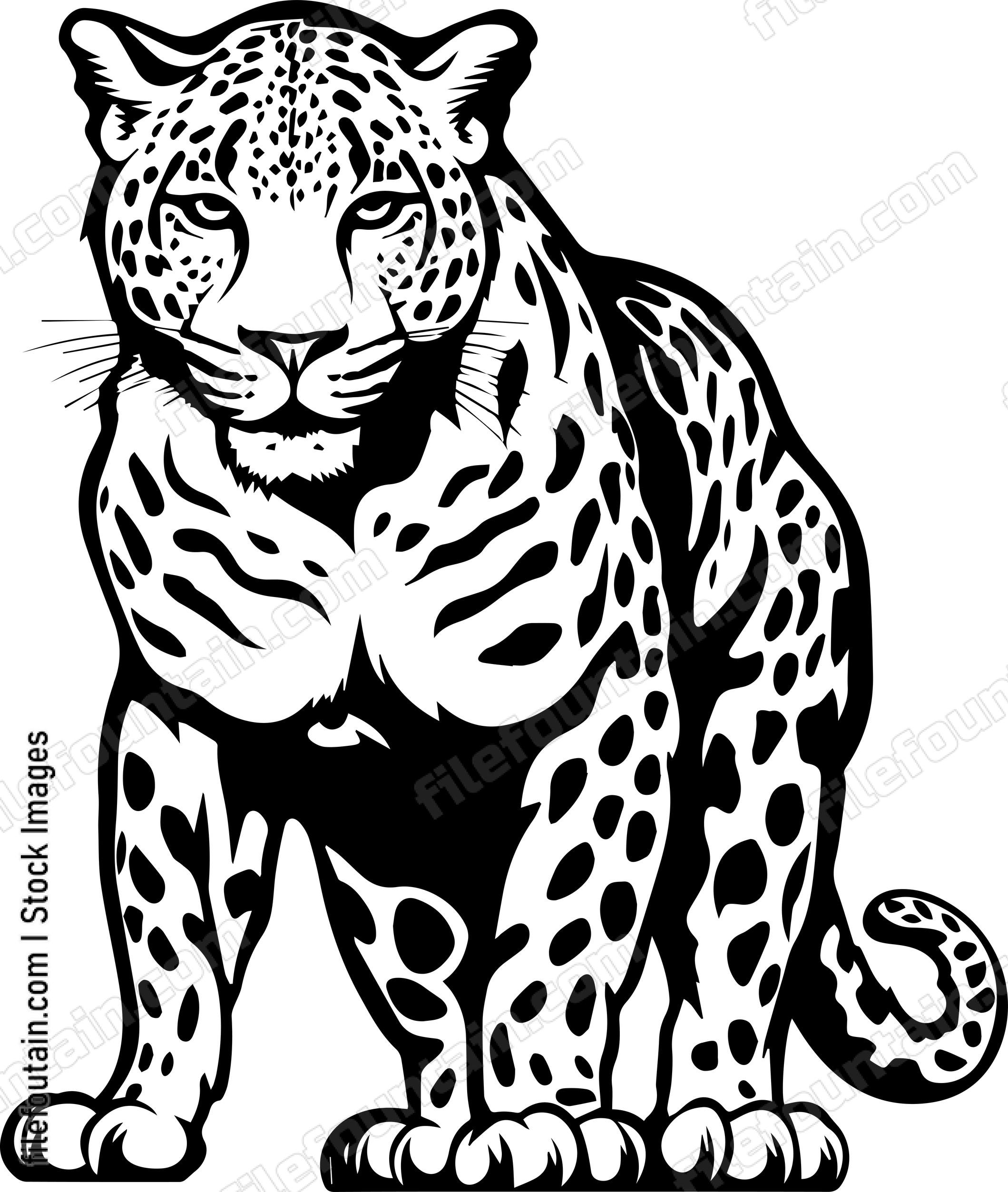 Leopard