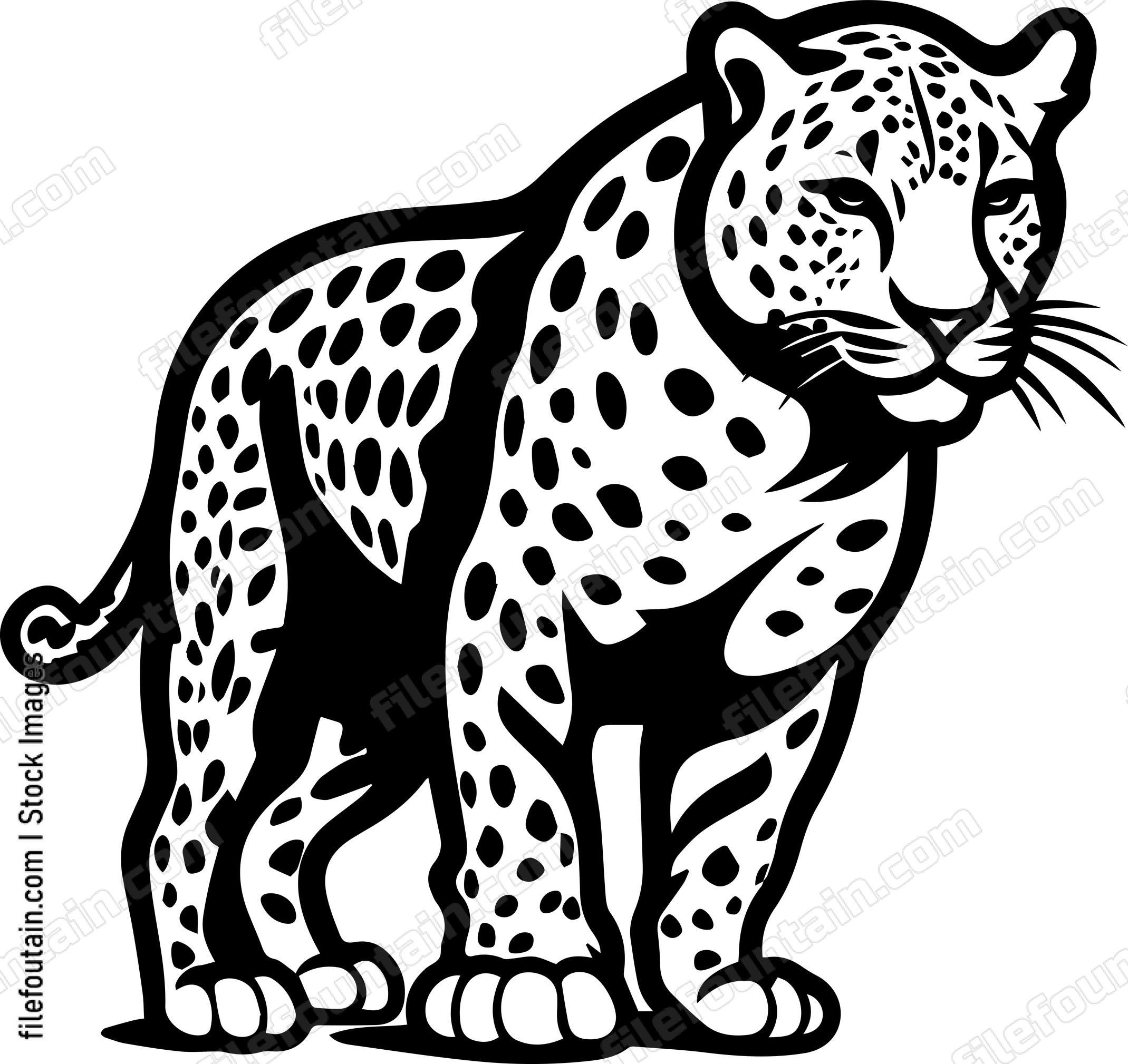 Leopard