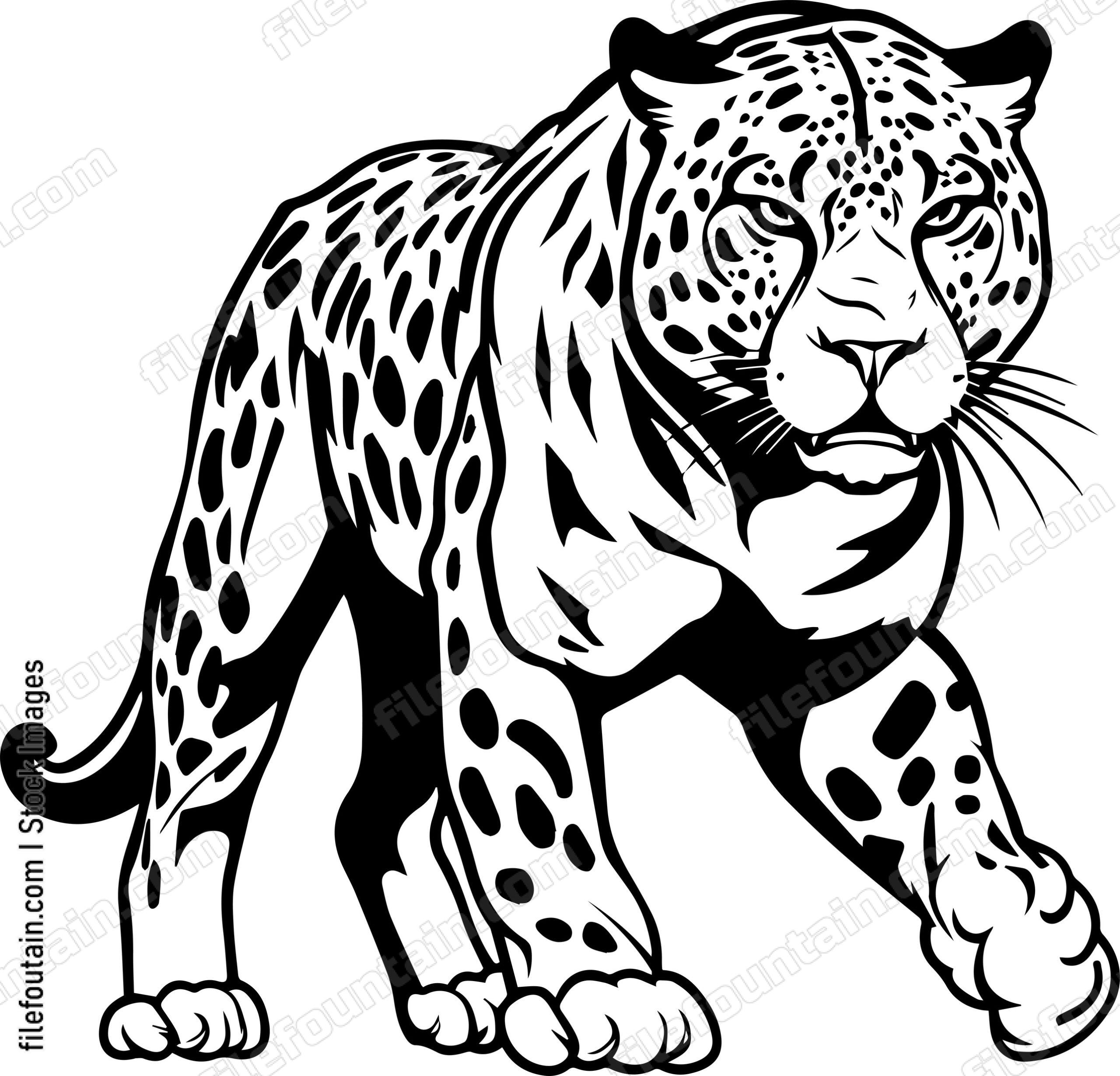 Leopard