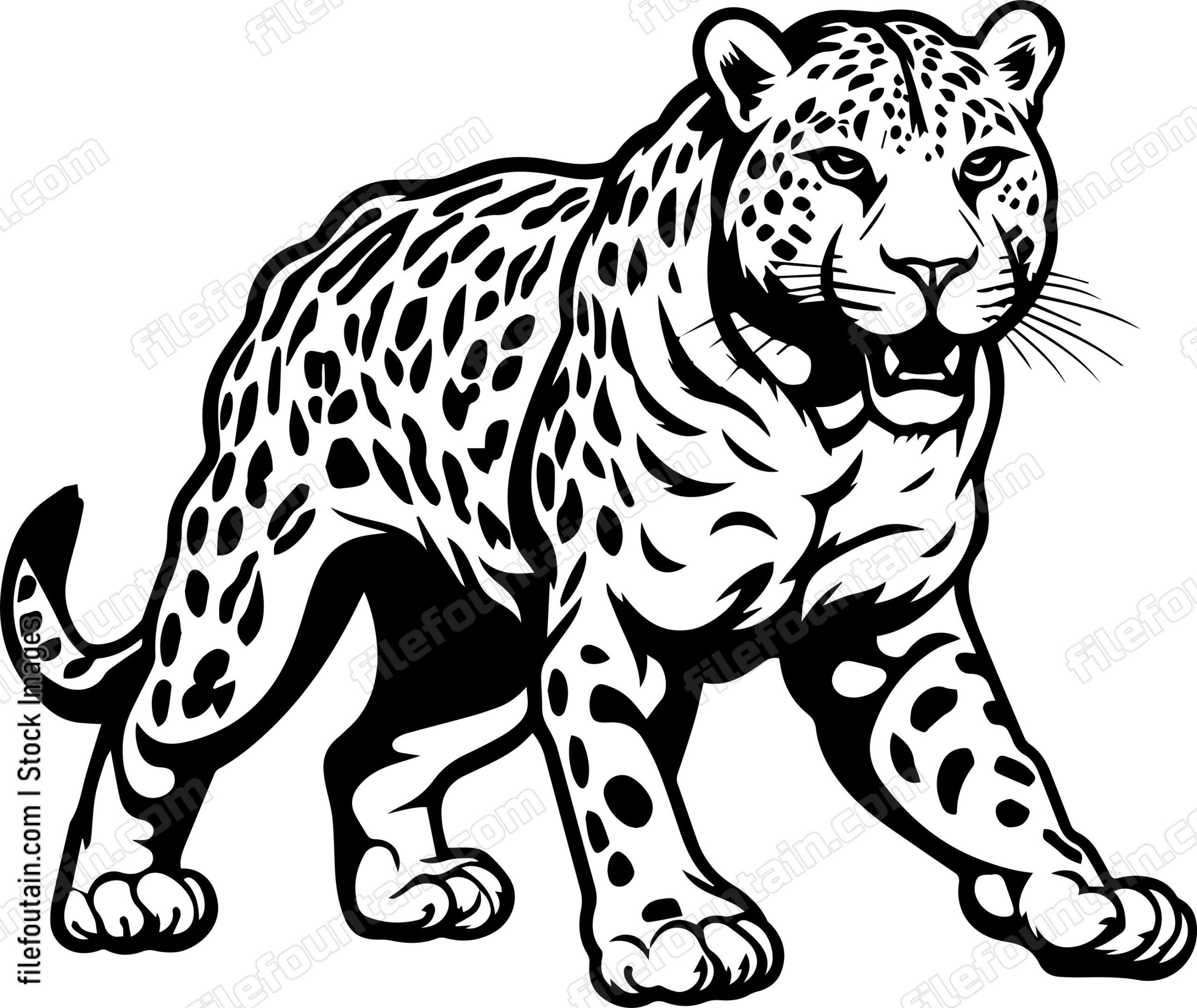 Leopard