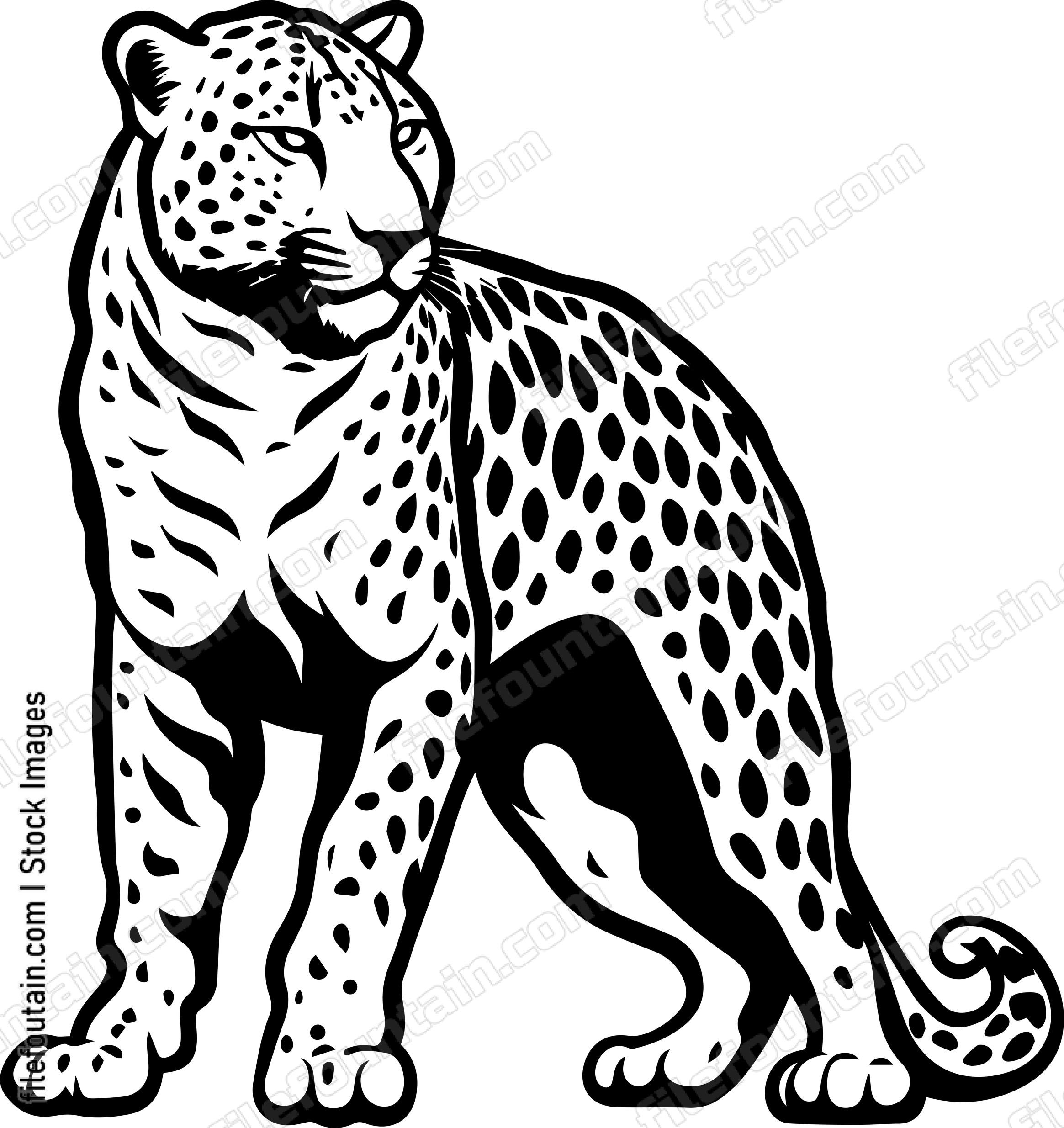 Leopard