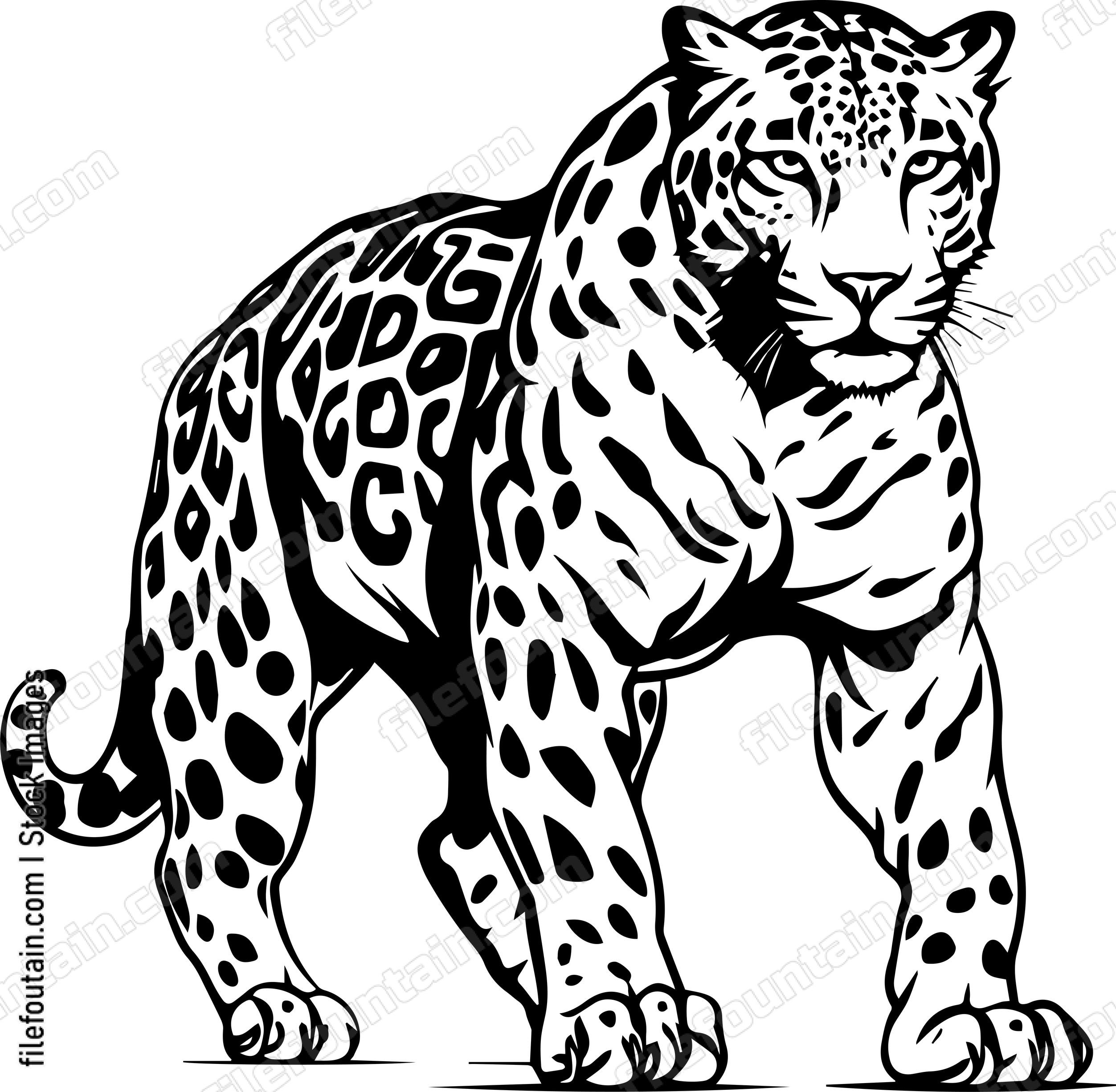 Leopard