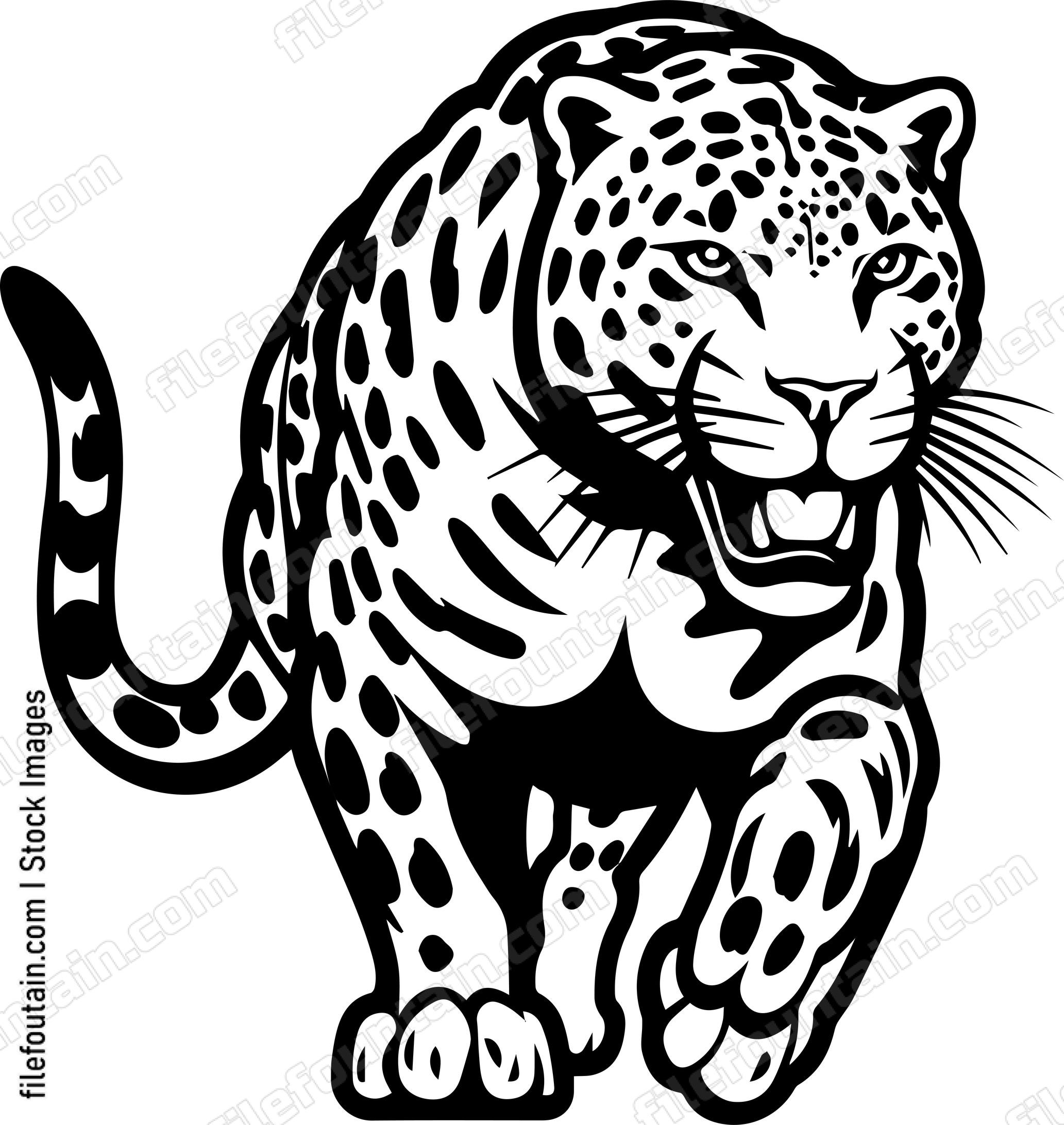 Leopard