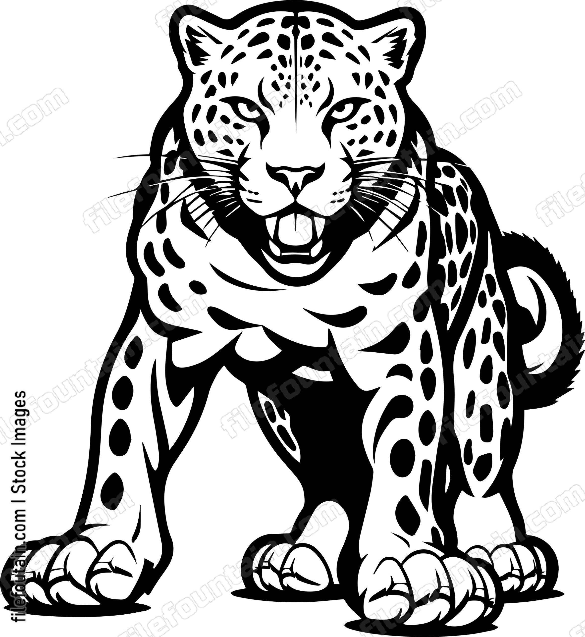 Leopard