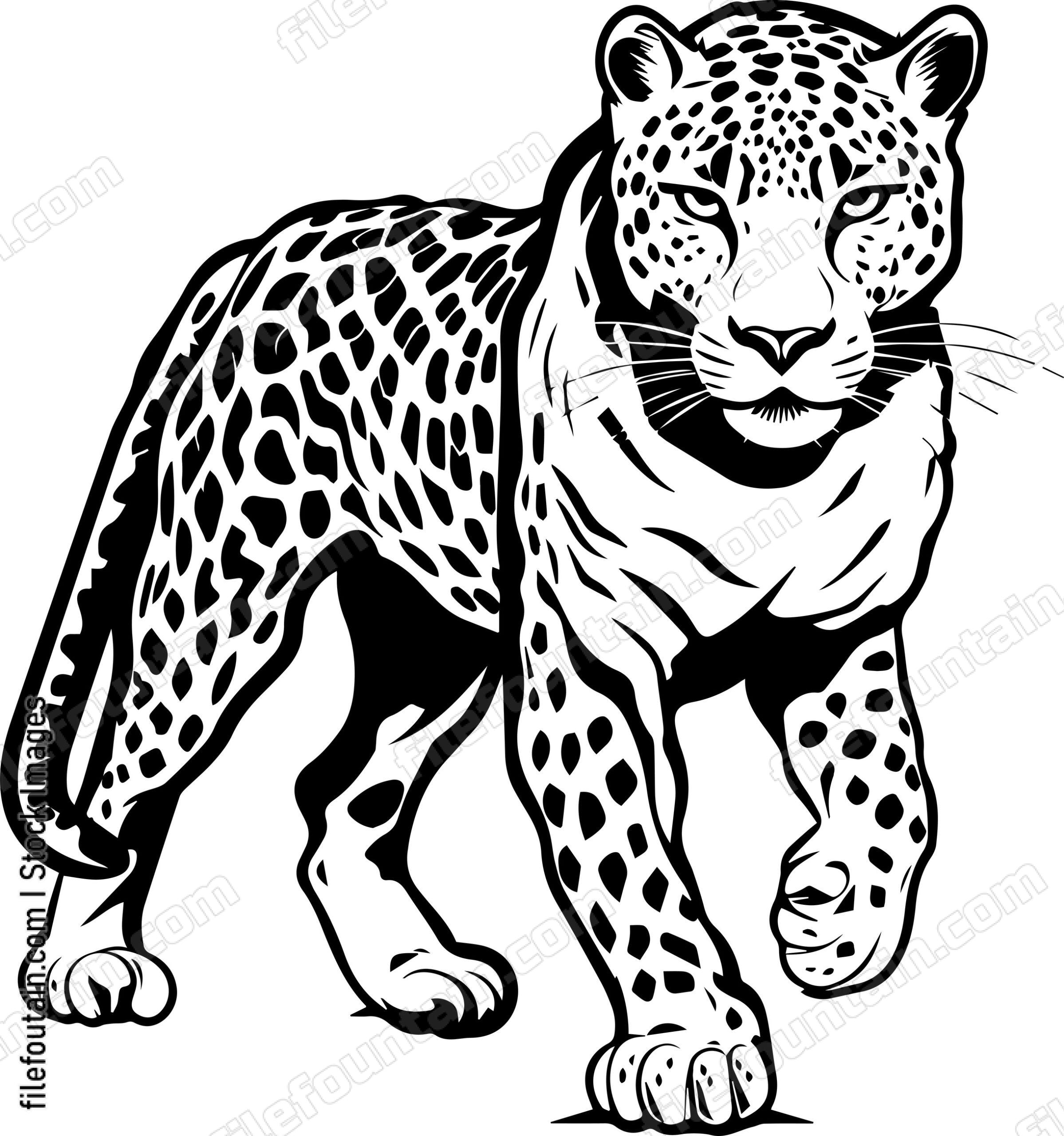 Leopard