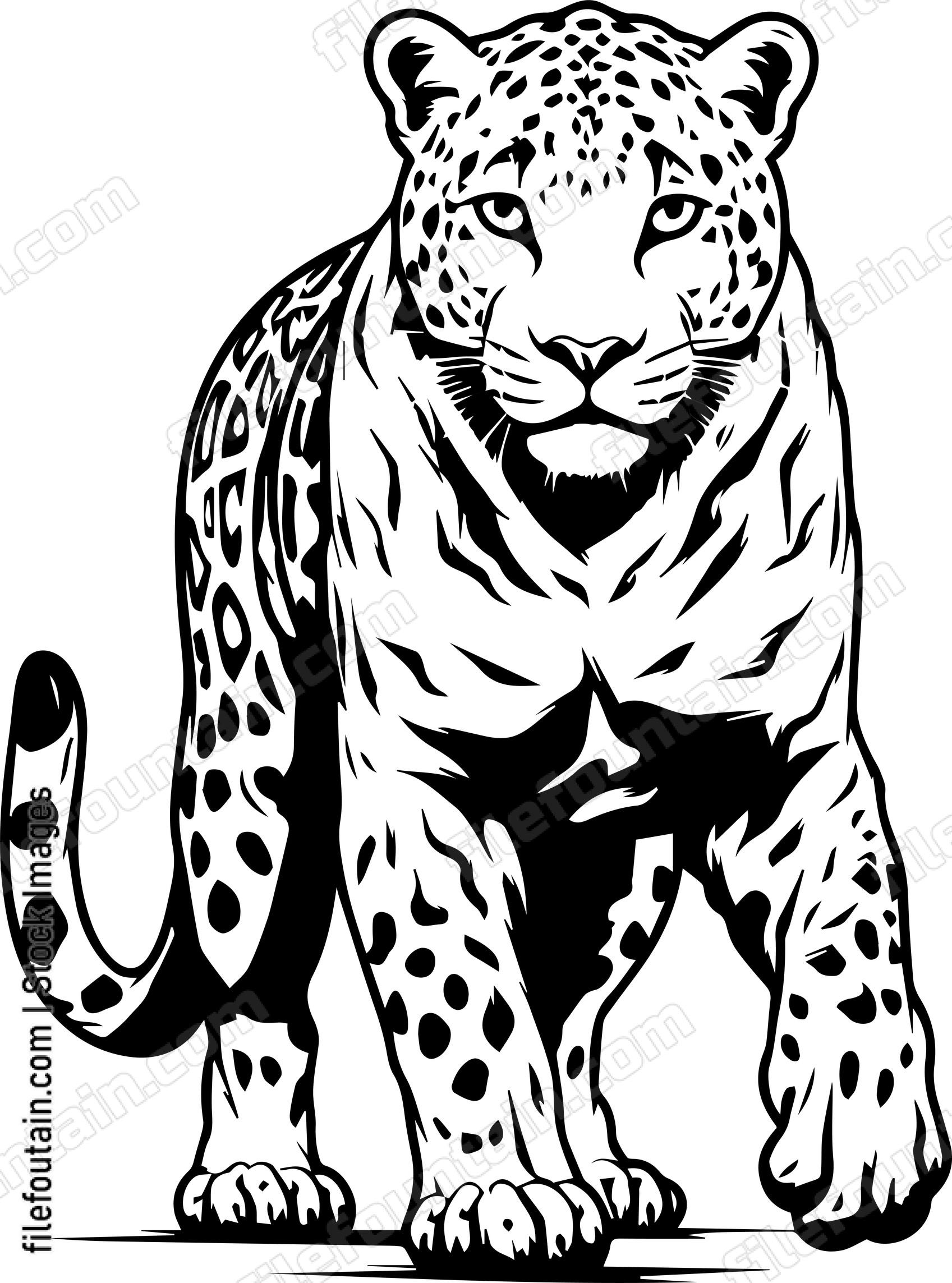 Leopard
