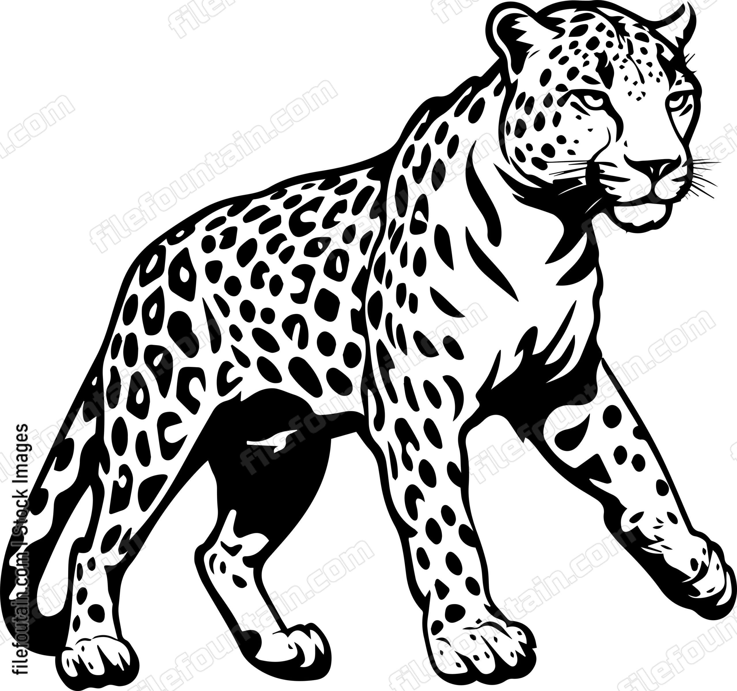 Leopard