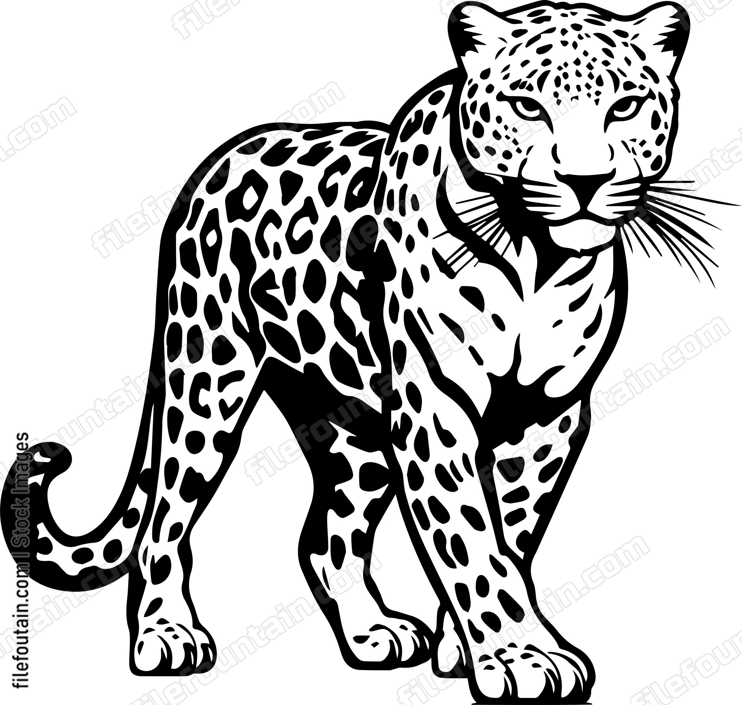 Leopard