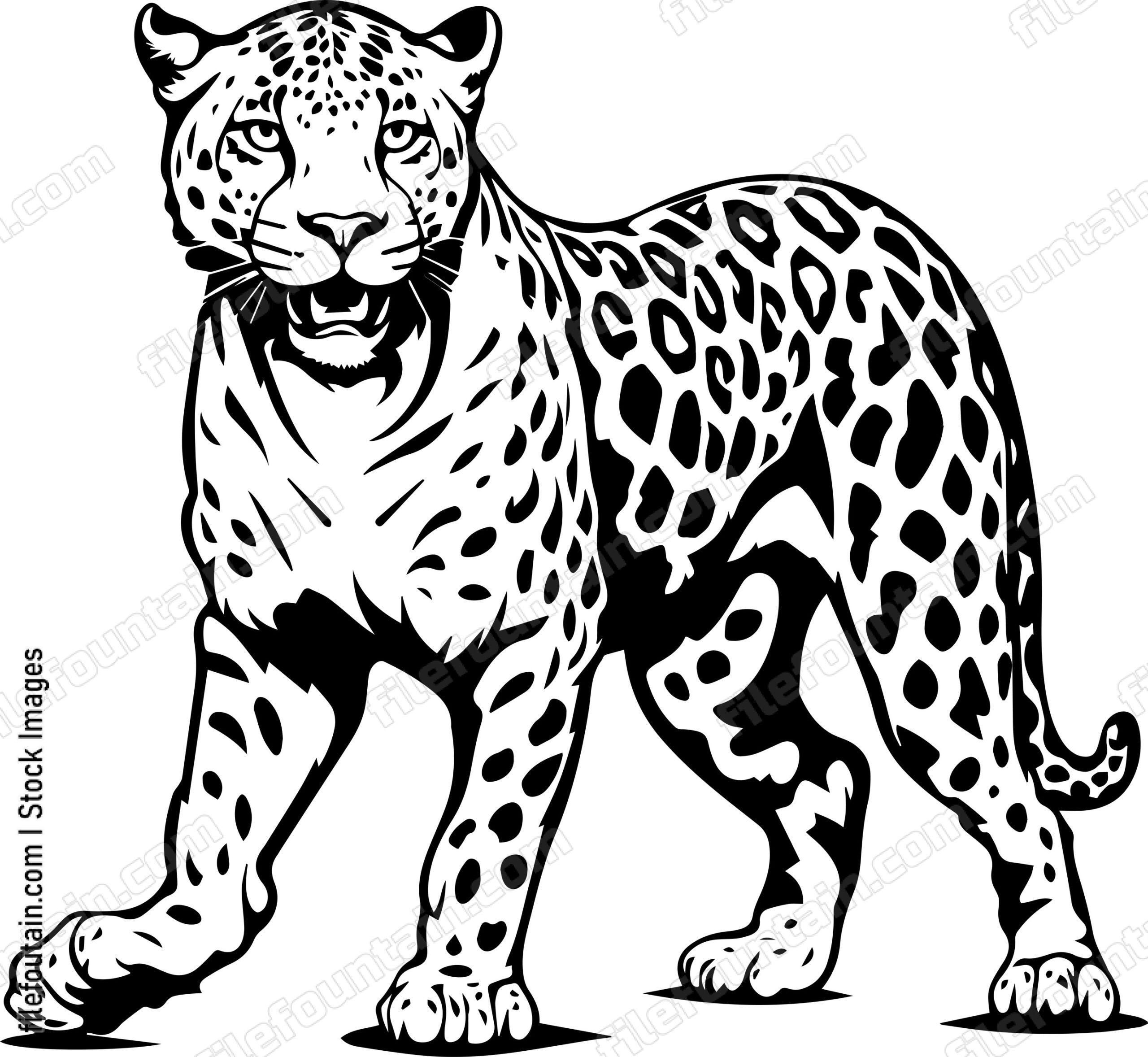 Leopard