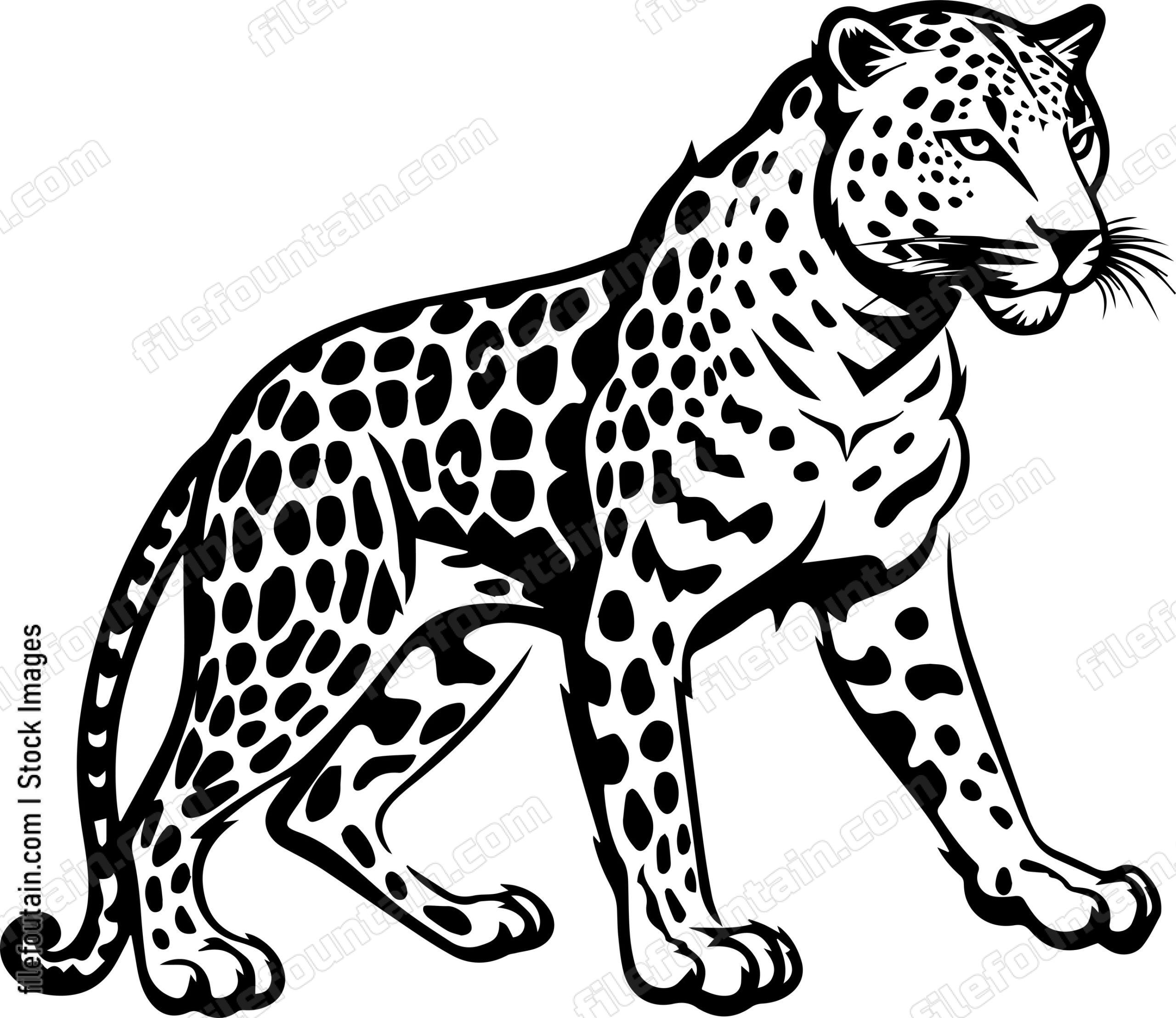 Leopard