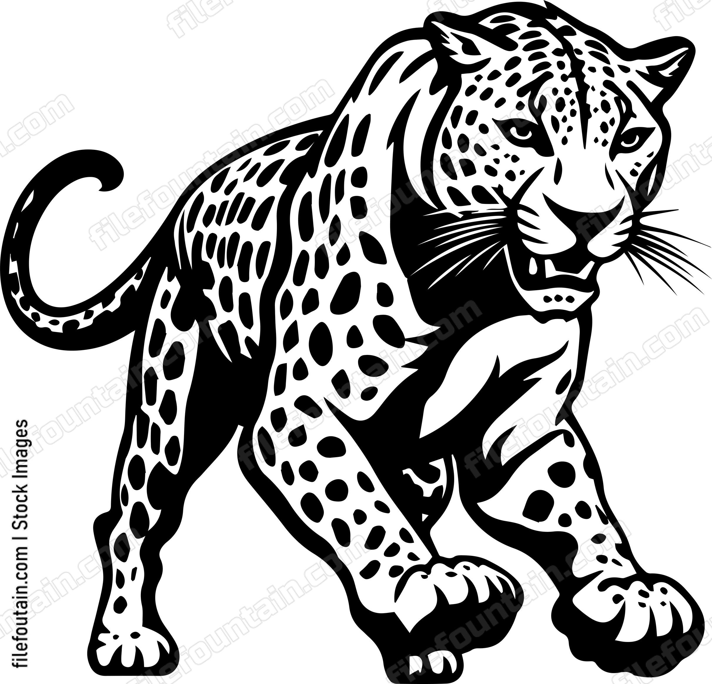 Leopard