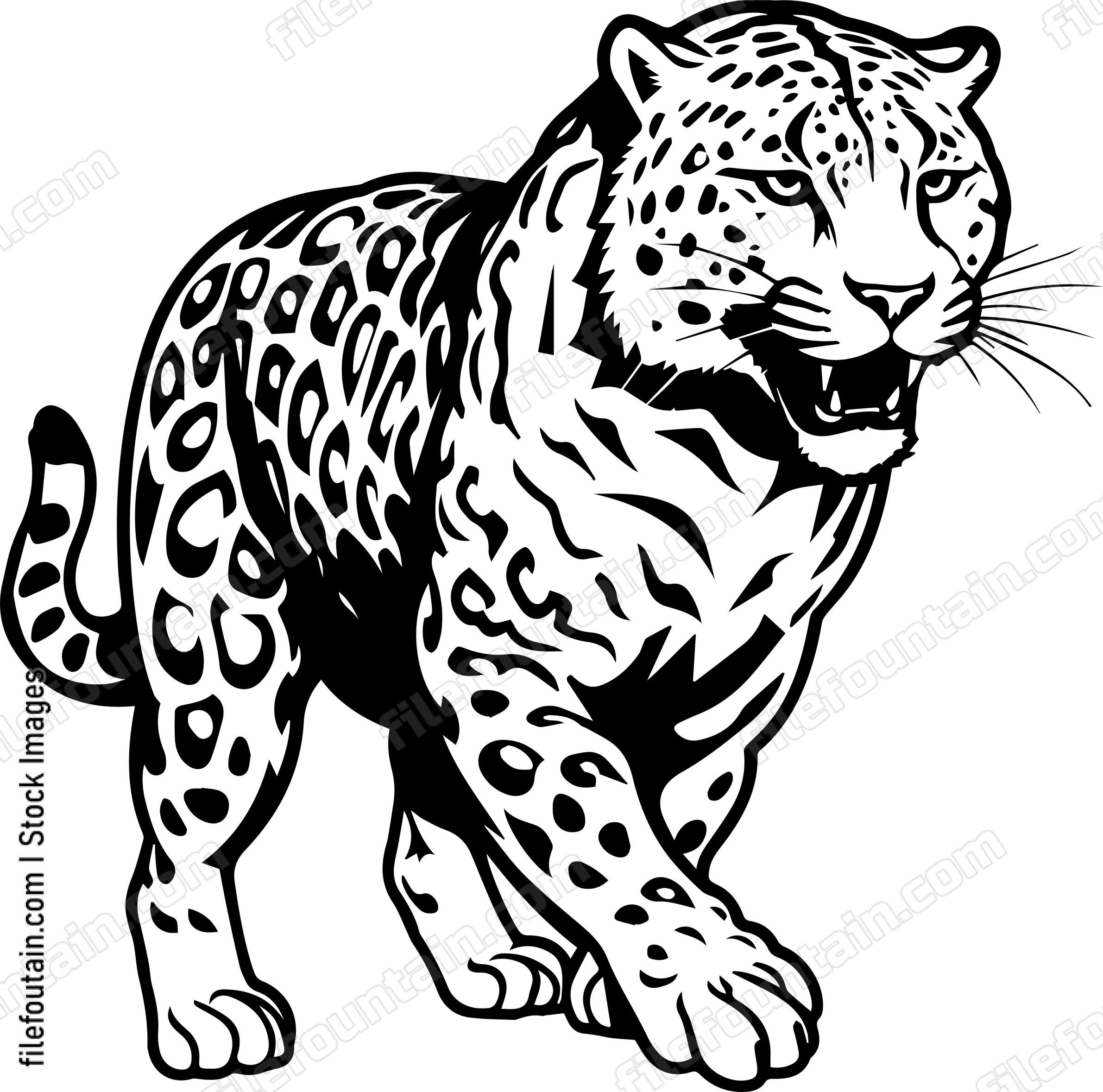 Leopard