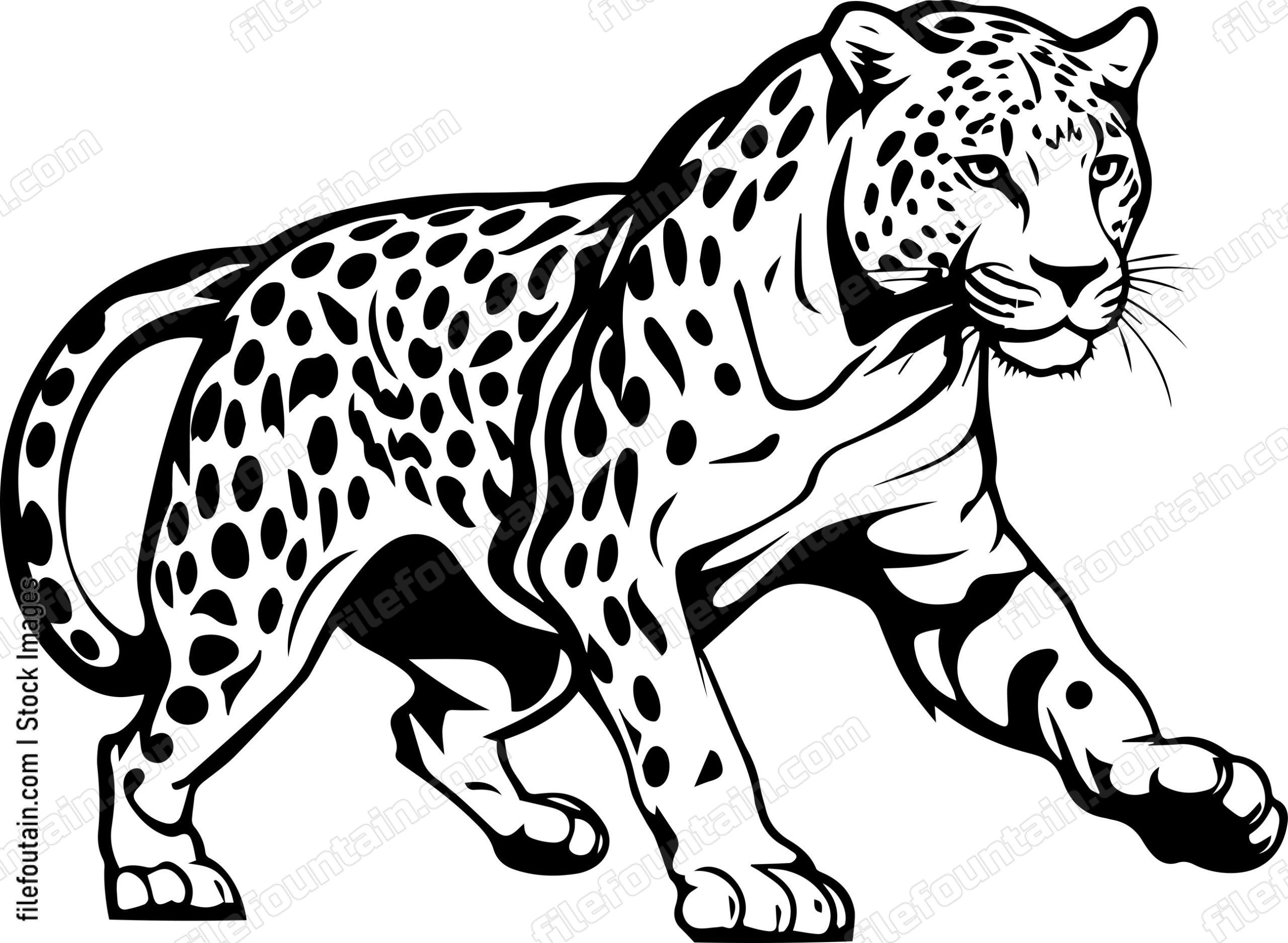 Leopard