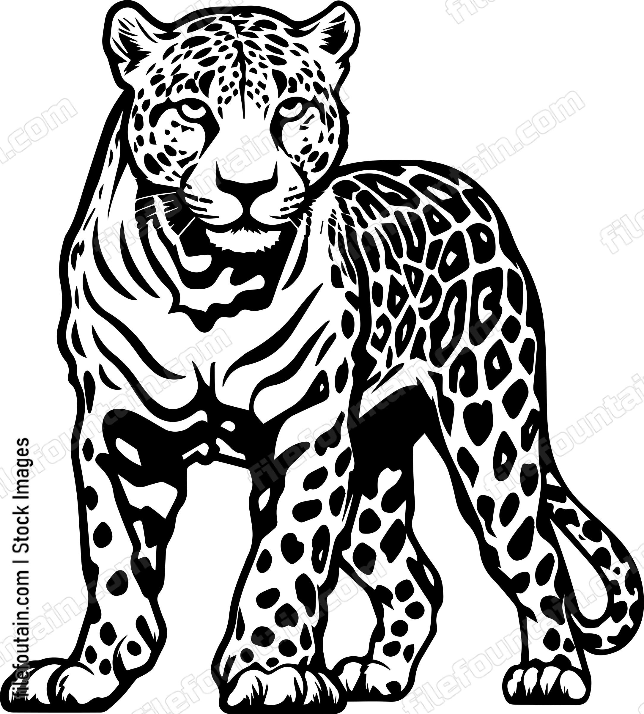 Leopard