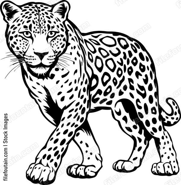 Leopard