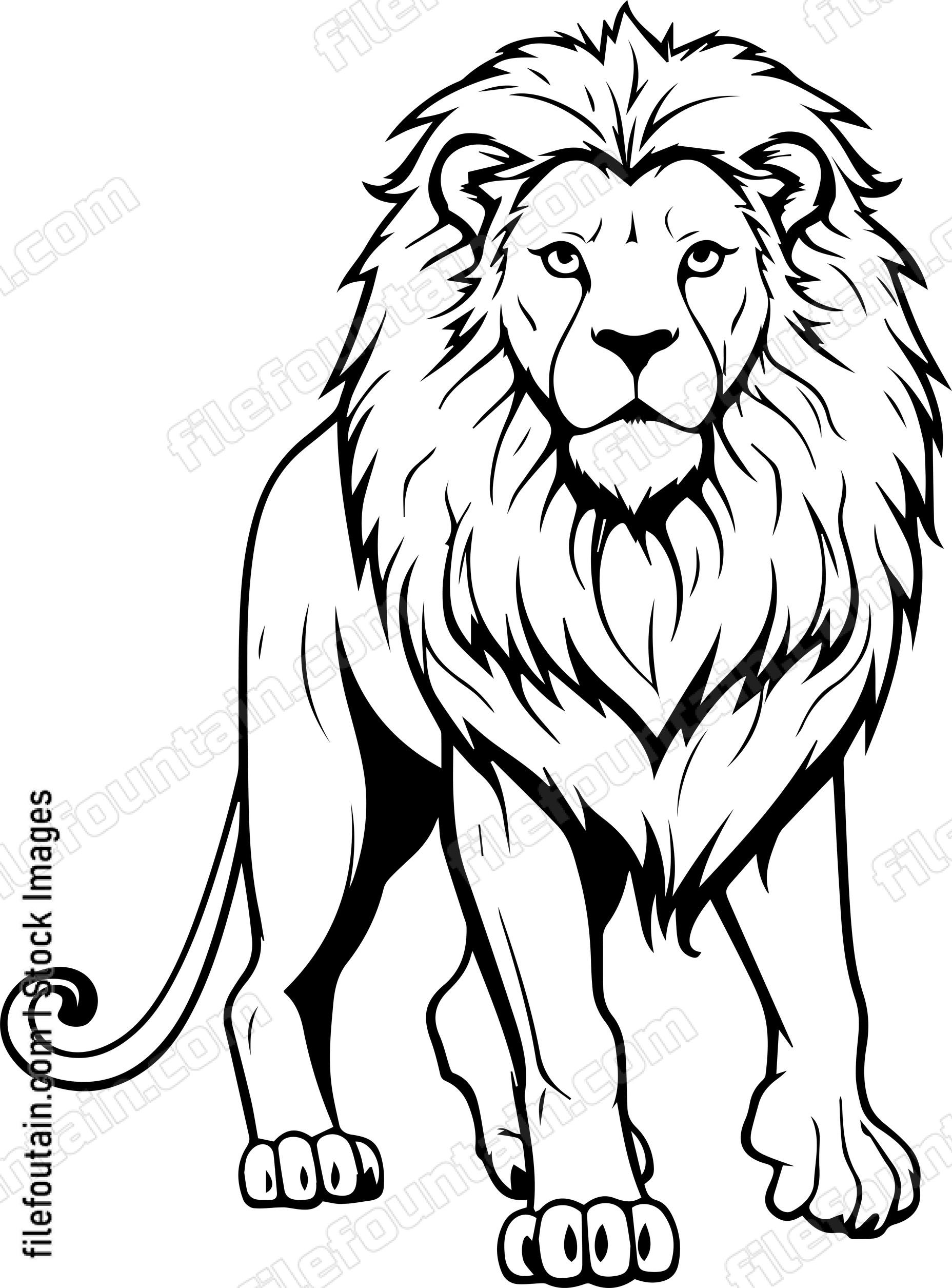 Lion