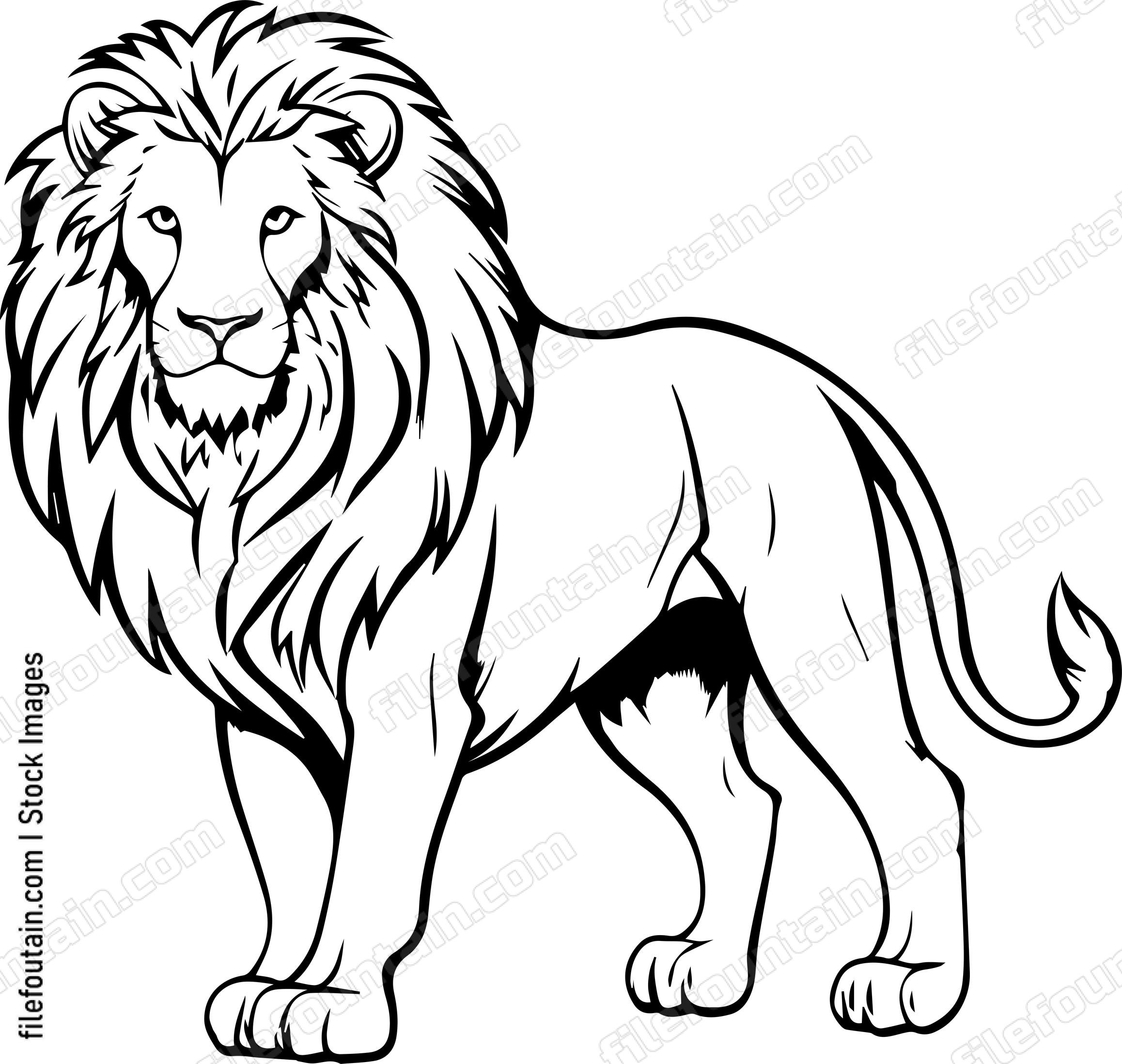 Lion