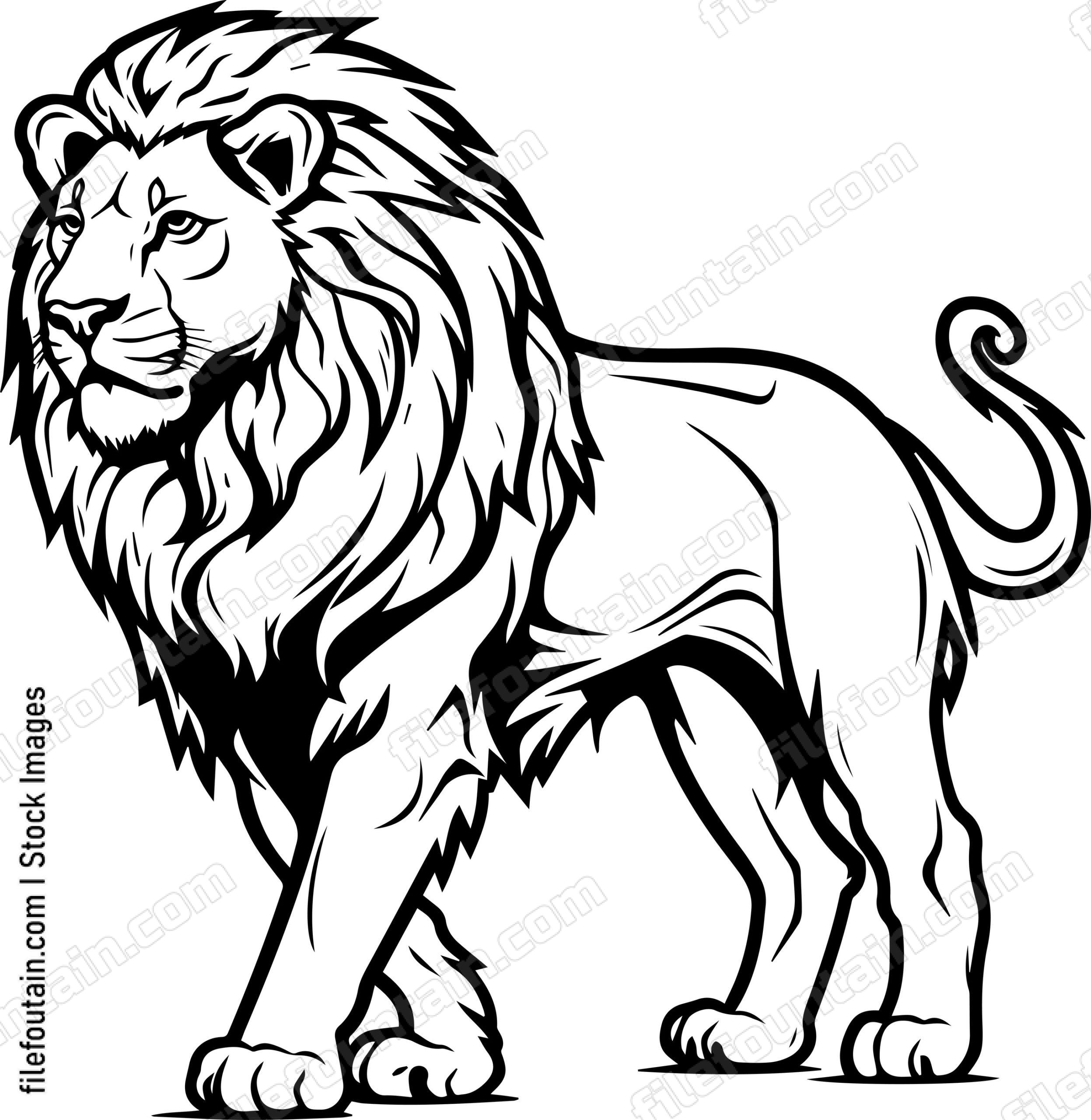 Lion