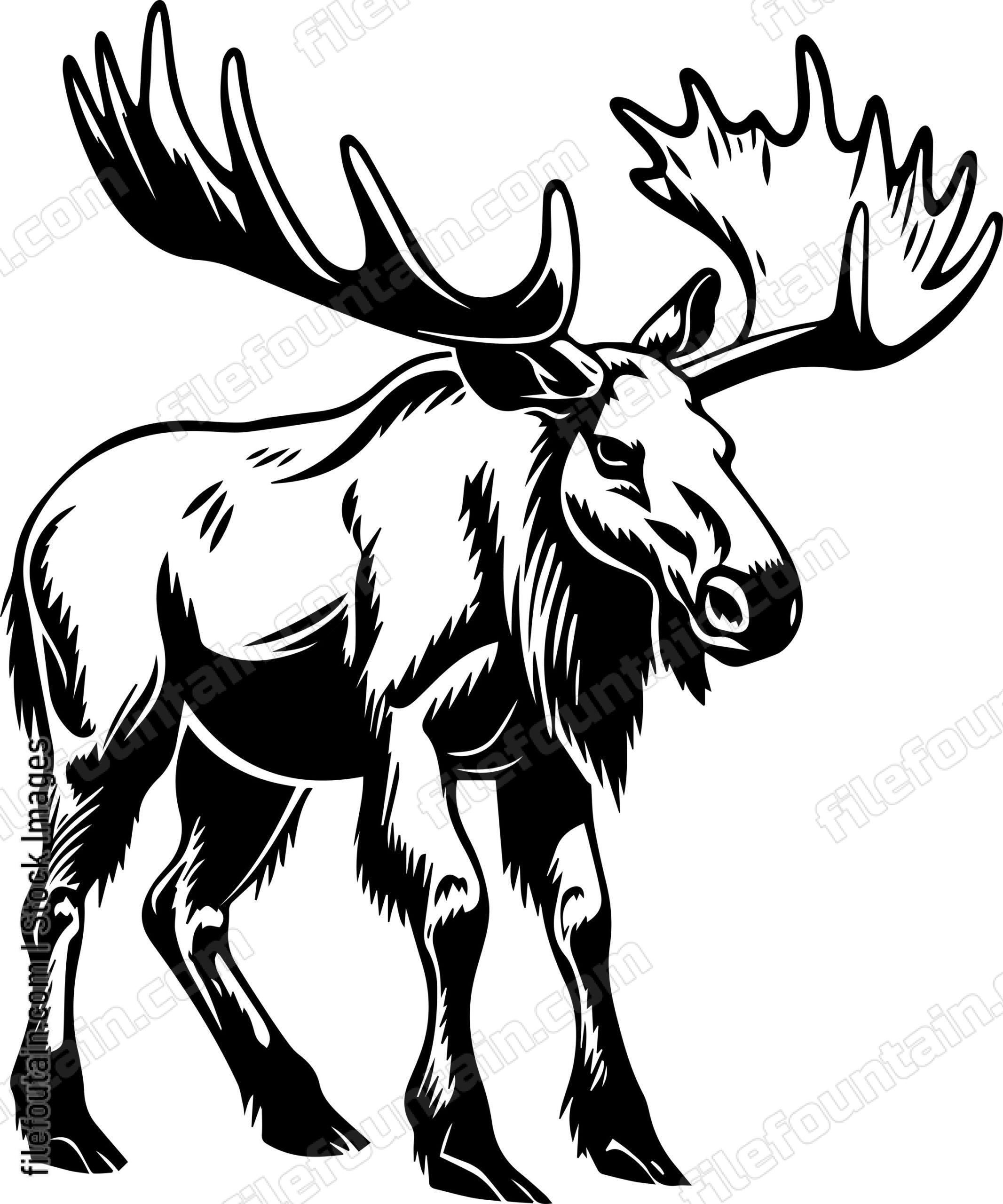 Moose