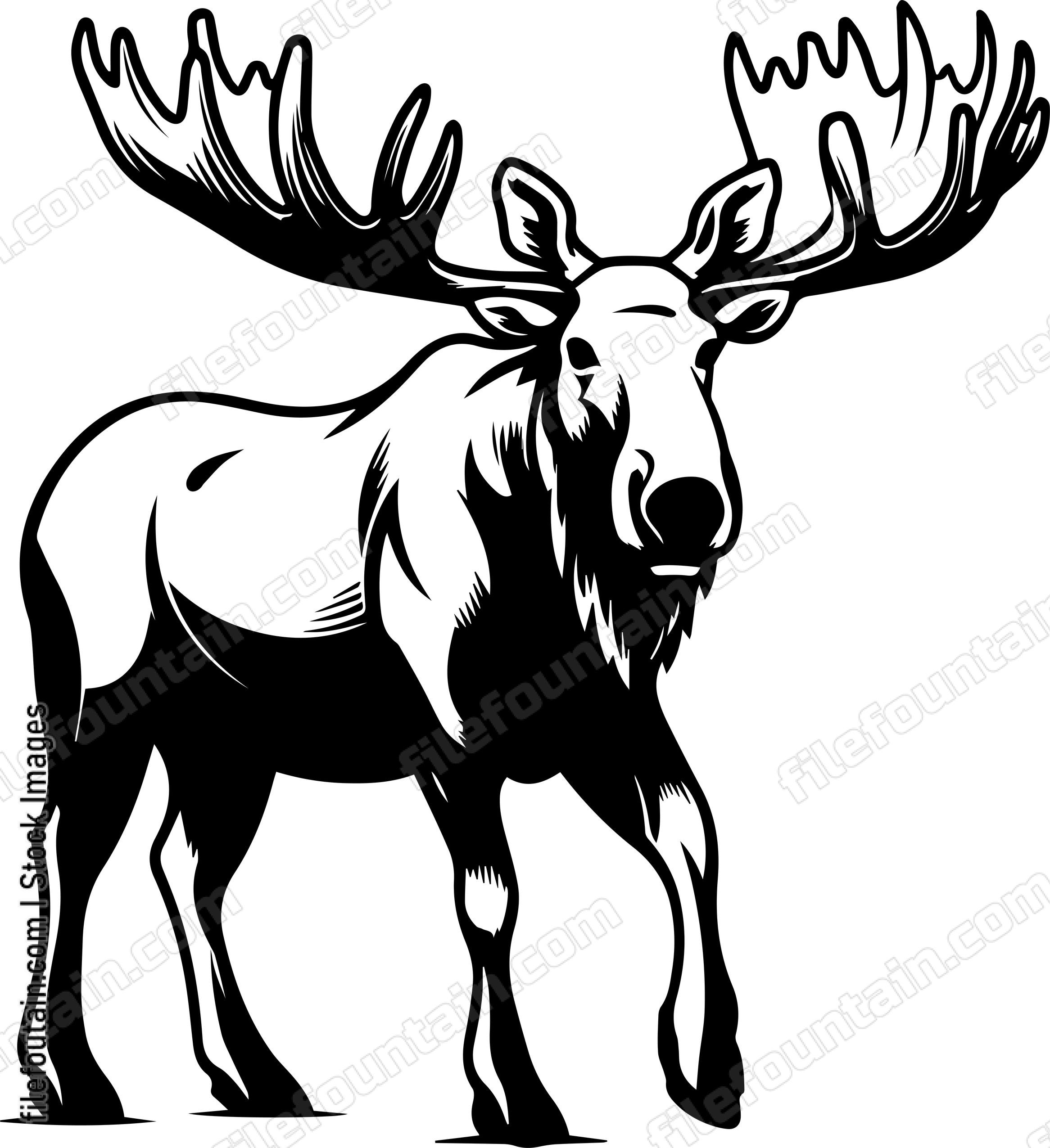 Moose