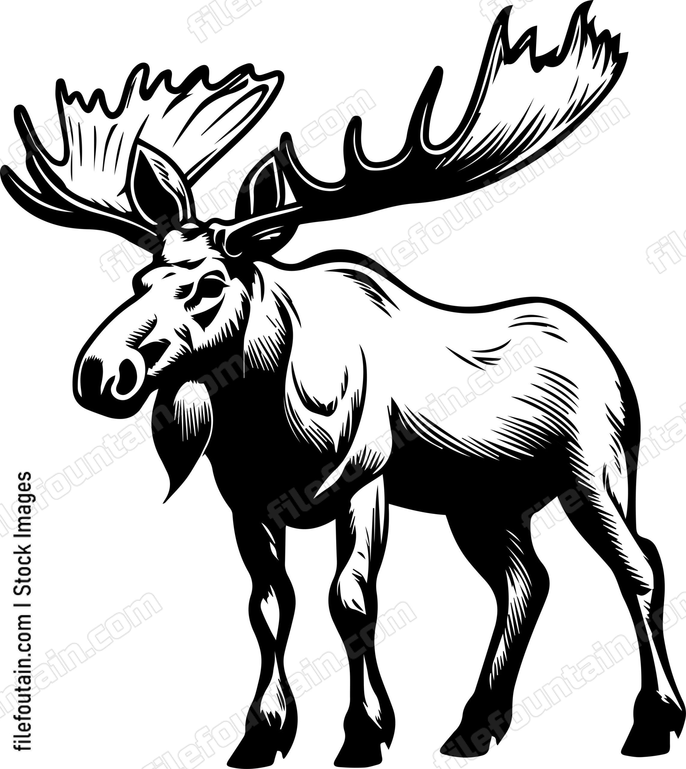 Moose