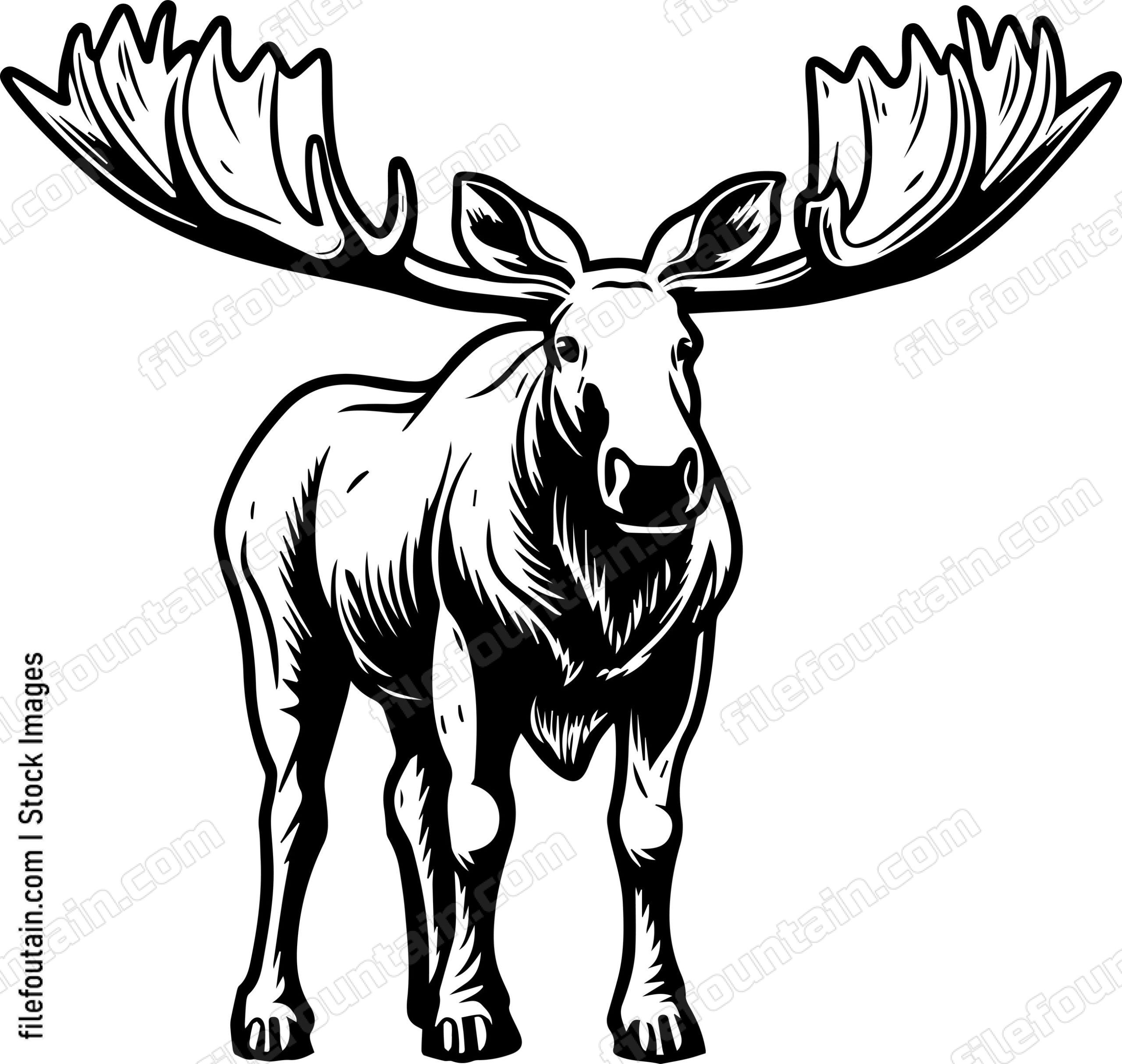 Moose