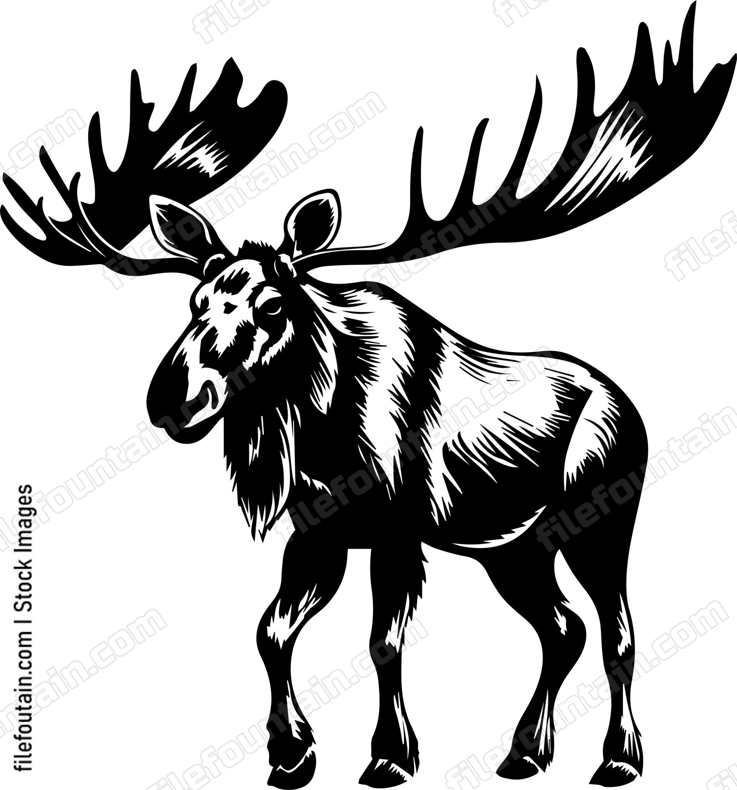 Moose