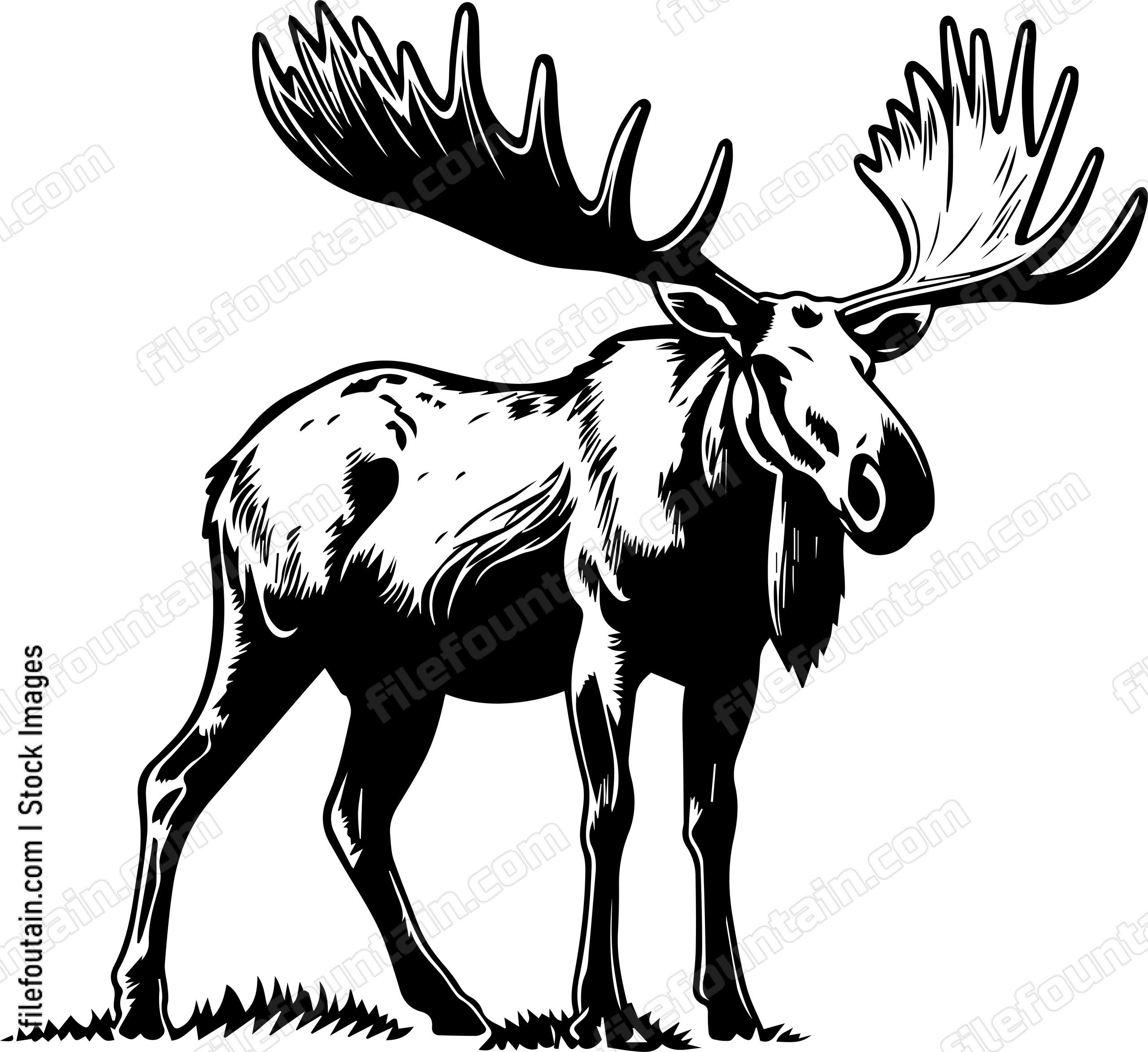 Moose
