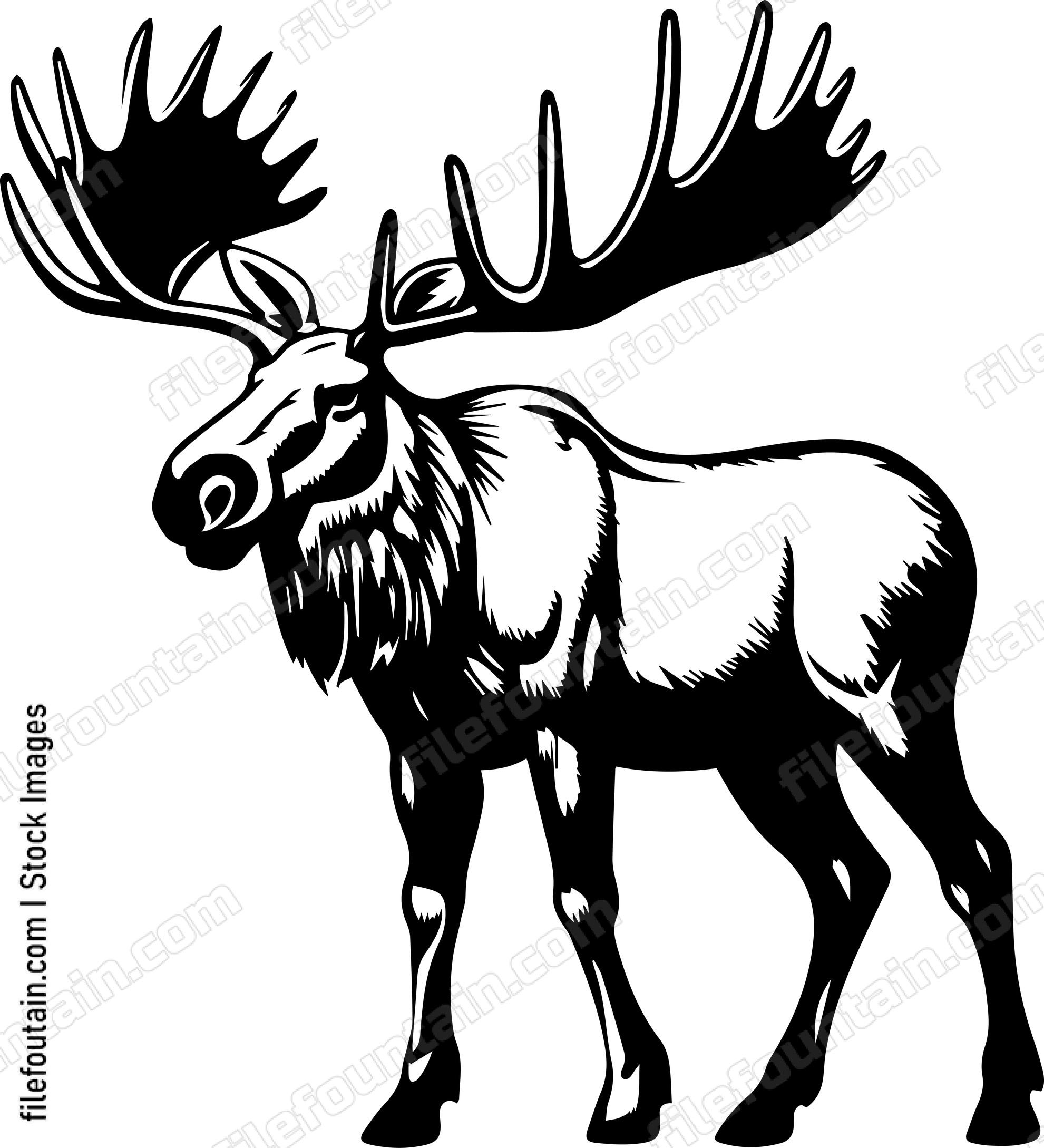 Moose