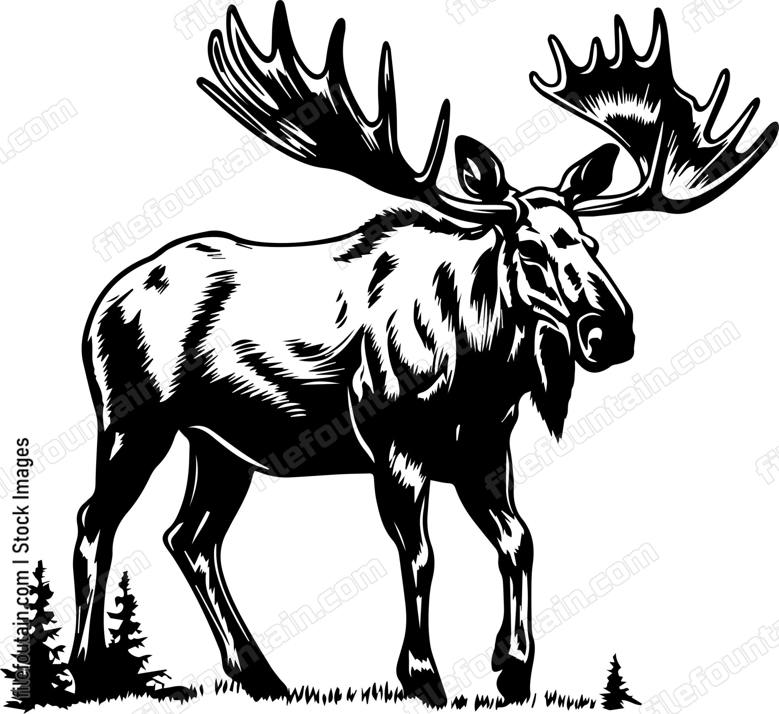 Moose