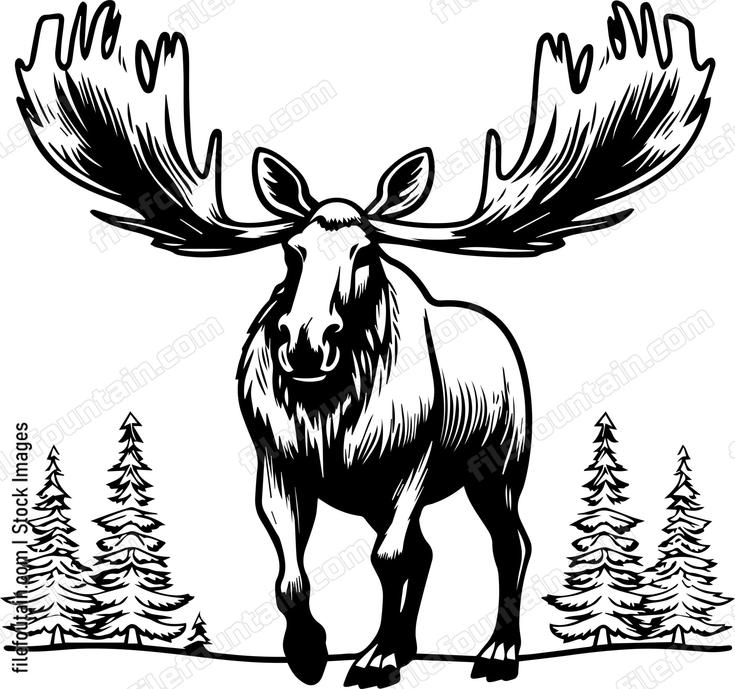 Moose