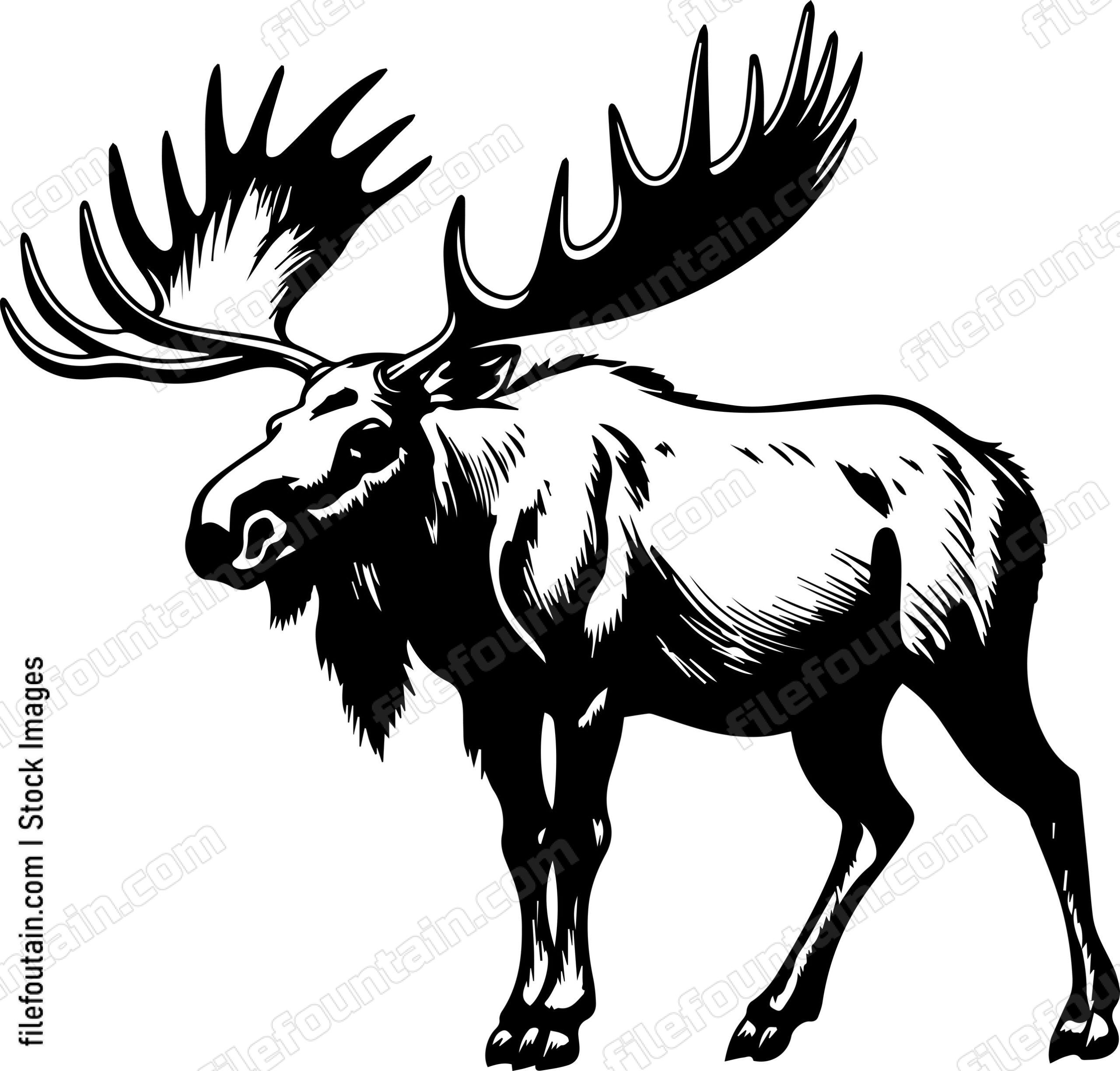 Moose