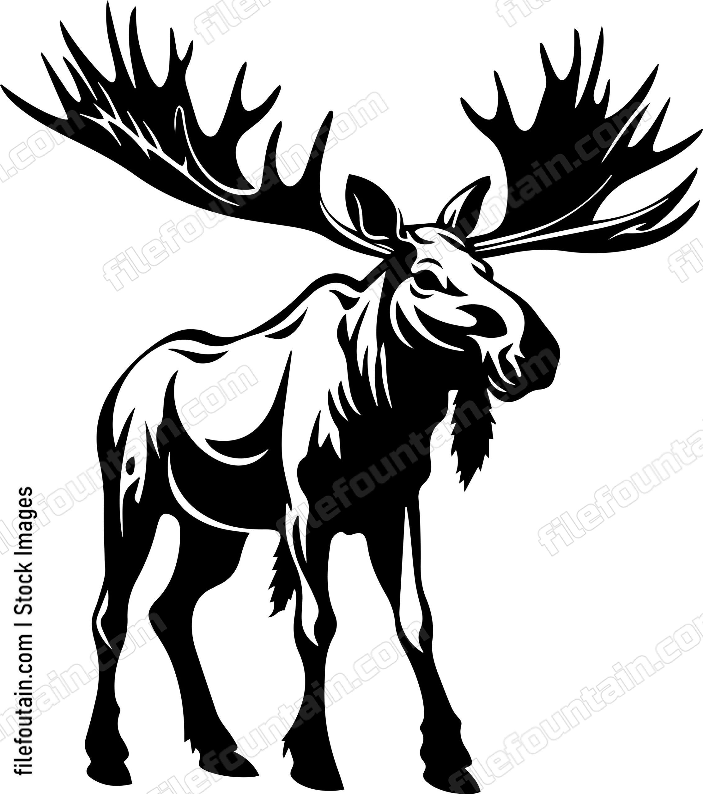 Moose